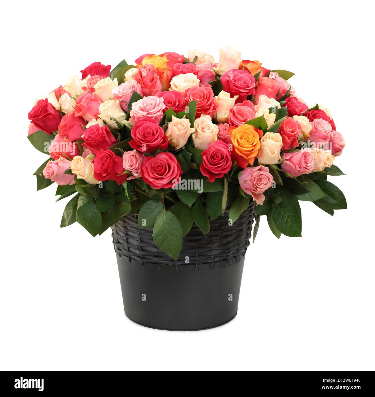 Bouquet de belles roses isolées sur blanc Banque D'Images