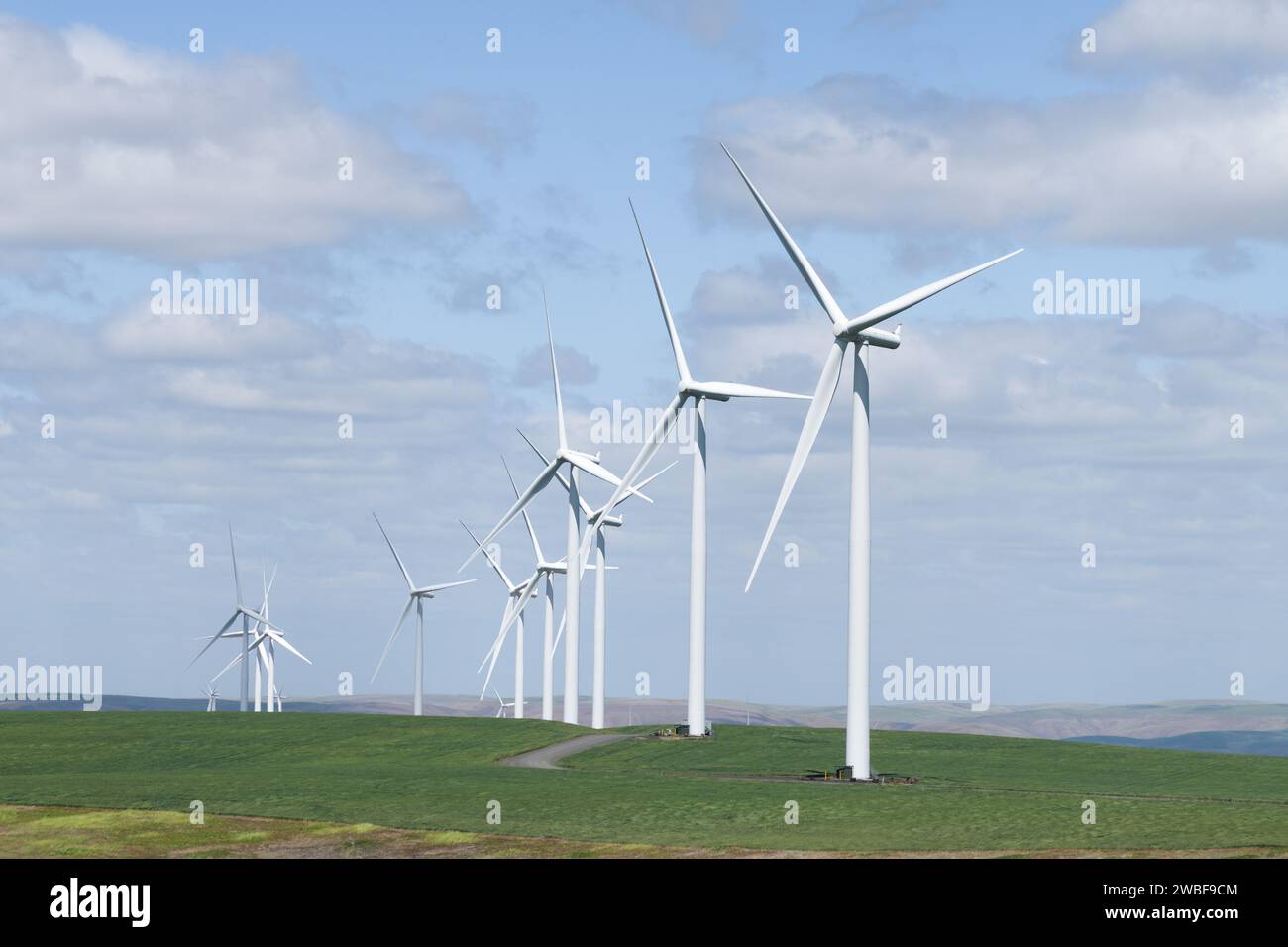 Rangée de grandes éoliennes dans le parc éolien industriel le jour ensoleillé Banque D'Images