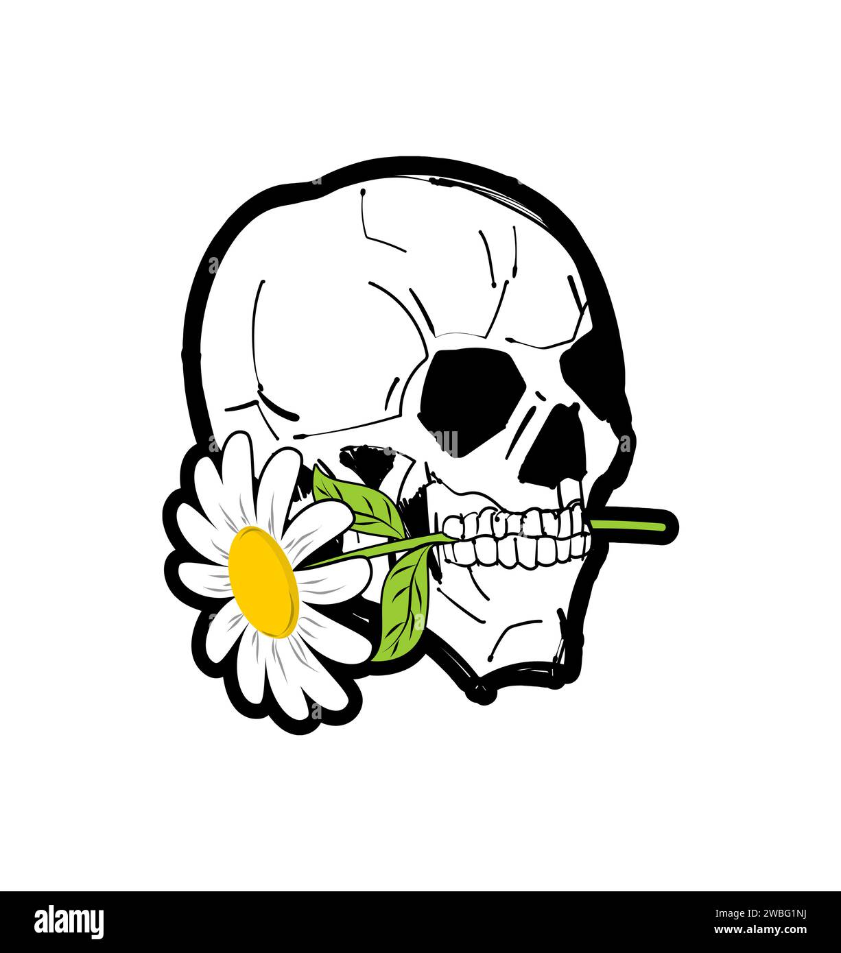 Crâne avec camomille dans les dents. Squelette tête et fleur Illustration de Vecteur