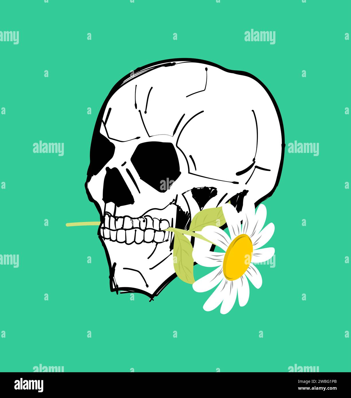 Crâne avec camomille dans les dents. Squelette tête et fleur Illustration de Vecteur