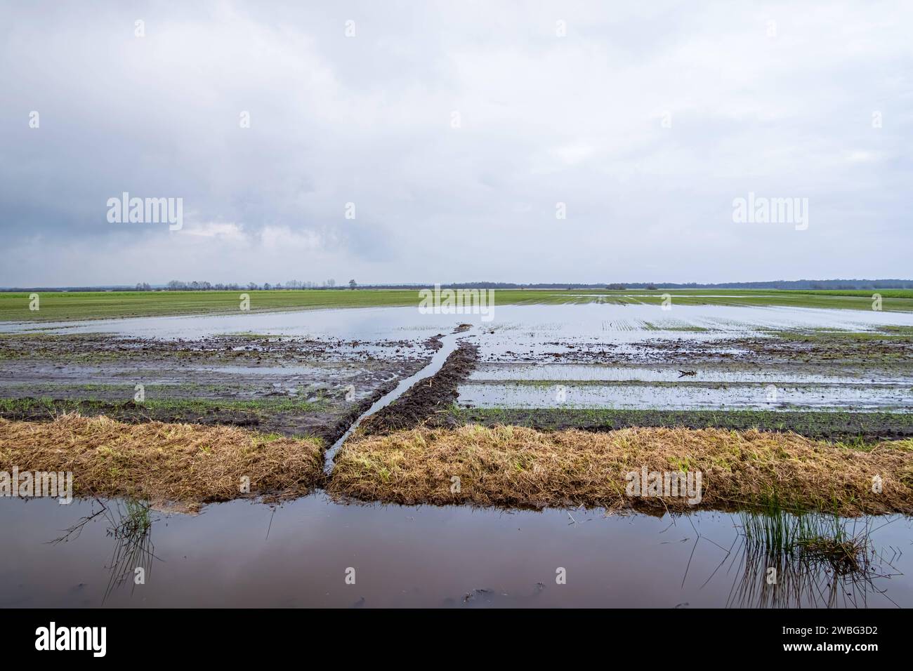 Hochwasser - nach starken Regenfällen überflutete Ackerfläche, mit Spaten ausgehobene Enwässerungsrinne. Im Herbst und Winter 2023 kam es in Deutschland zu besonders intensiven Niederschlägen, die in den letzten Tagen des Jahres besonders in Norddeutschland zu flächigen Überschwemmungen führten. Nach wochenlangen intensiven Regenfällen waren viele Binnendeiche durchweicht und konnten dem Druck der angeschwollenen Flüsse nicht in jedem fall standhalten. Région Weser-EMS Niedersachsen Deutschland *** inondations après de fortes pluies, des terres agricoles ont été inondées, un canal de drainage a été creusé avec une bêche à l'automne Banque D'Images