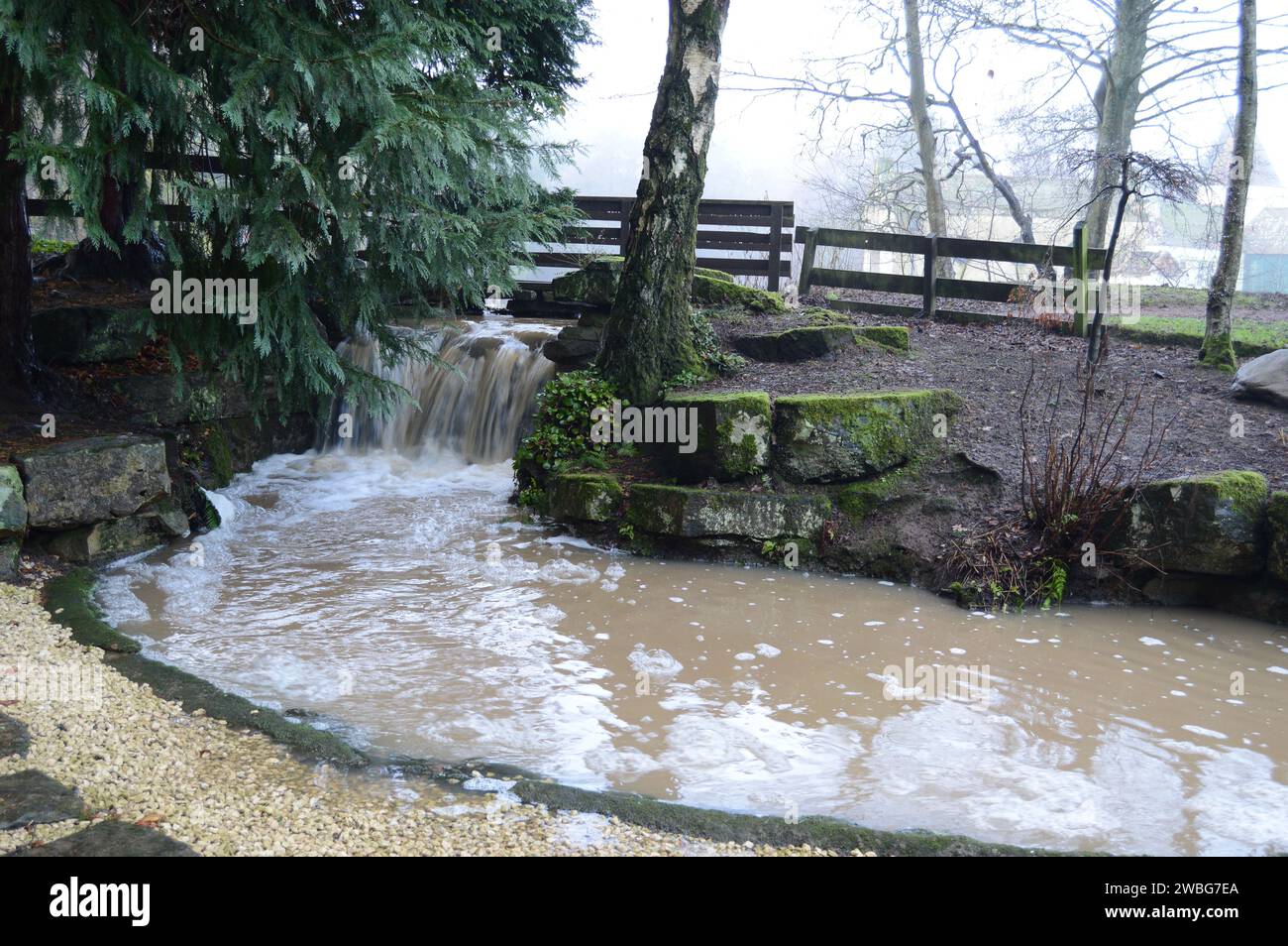 Jardin japonais le 2 janvier, brumeux au Craigtoun Country Park, St Andrews Banque D'Images