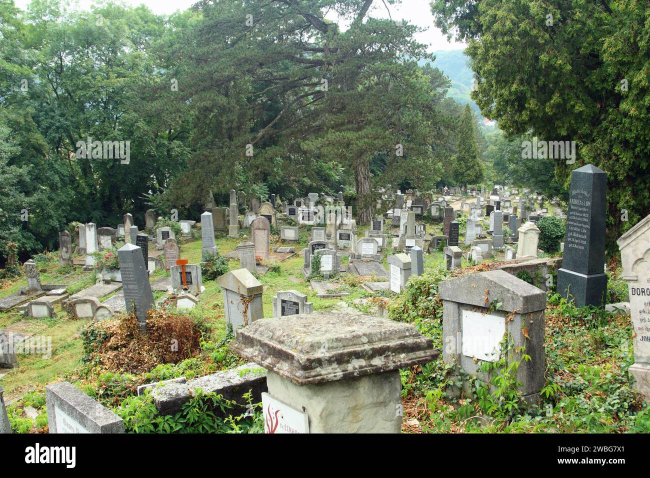 Ancien cimetière allemand, Sighisoara, Transylvanie, Roumanie Banque D'Images