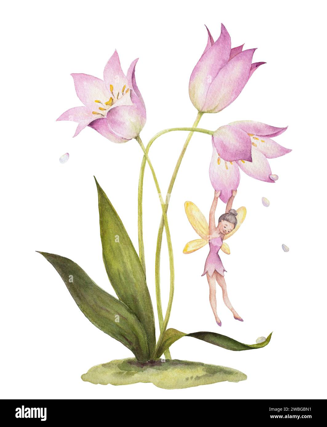 Illustration de fée de tulipe. Flower Fairy Tale Clipart. Illustrations mignonnes dessinées à la main Fairy Tale Garden. Décoration murale tulipe aquarelle pour nursery Banque D'Images