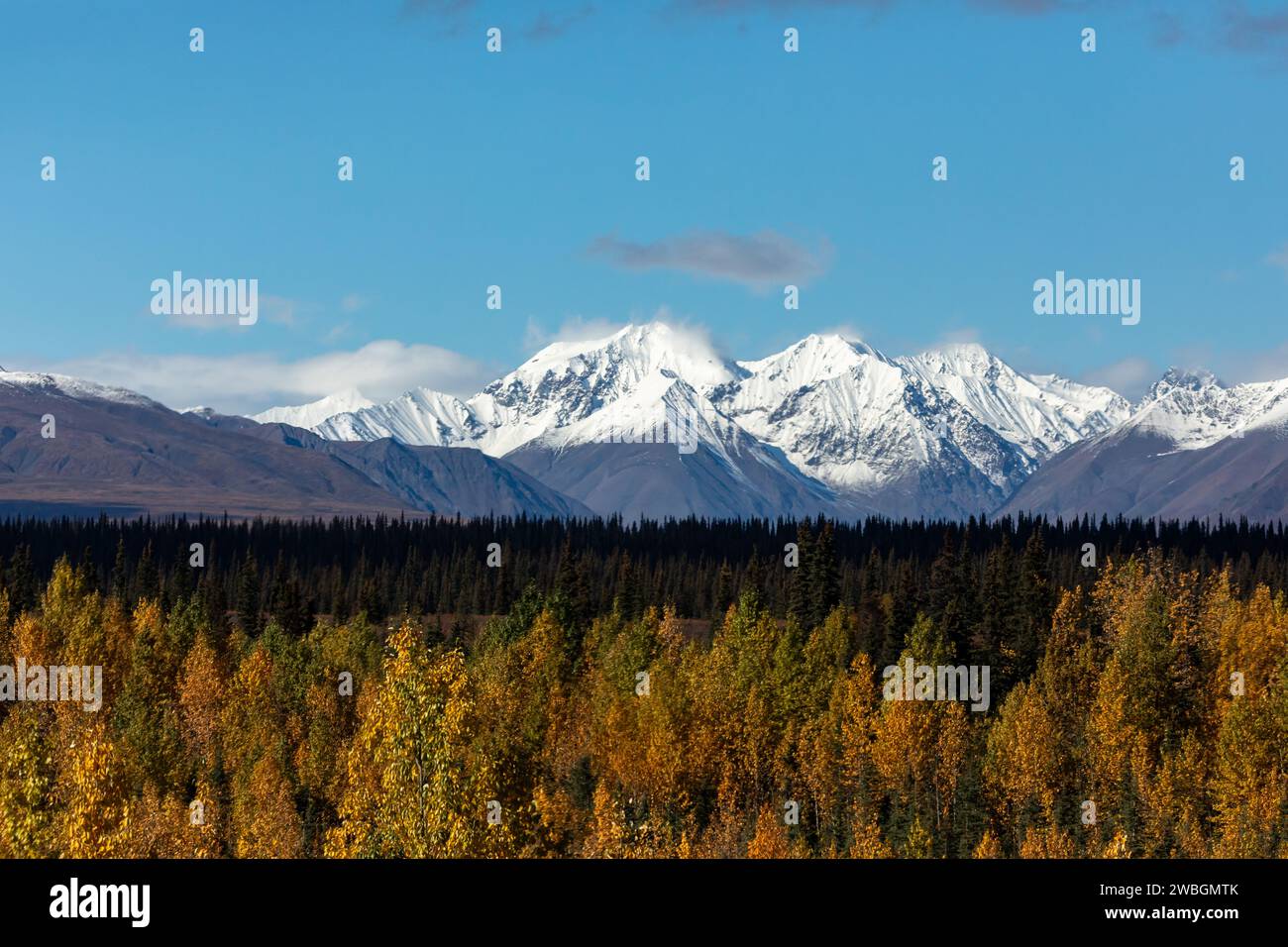 Couleurs d'automne au pied de la montagne enneigée dans la forêt sauvage isolée de l'Alaska Banque D'Images