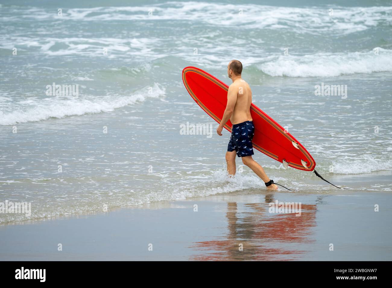Personne non identifiée entrant dans l'eau, avec une planche de surf rouge. Banque D'Images