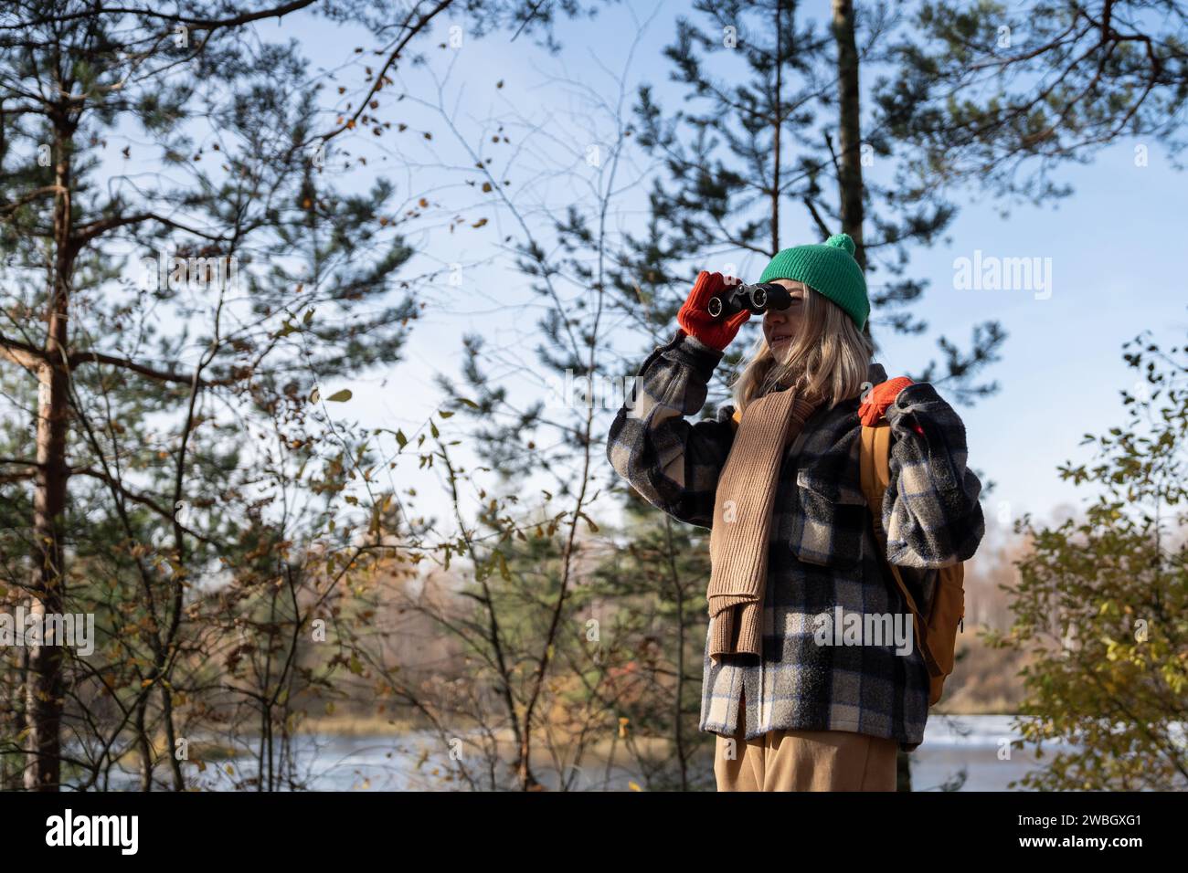 Observateur d'oiseaux touristique de femme concentrée dans la forêt d'automne regardant à travers des jumelles sur les oiseaux. Tourisme. Banque D'Images