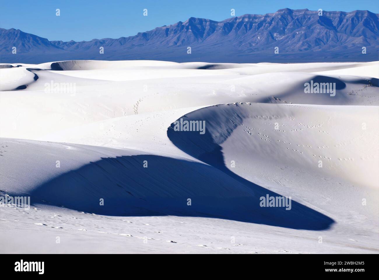 Natures motifs spéciaux pour les dunes de sable Banque D'Images
