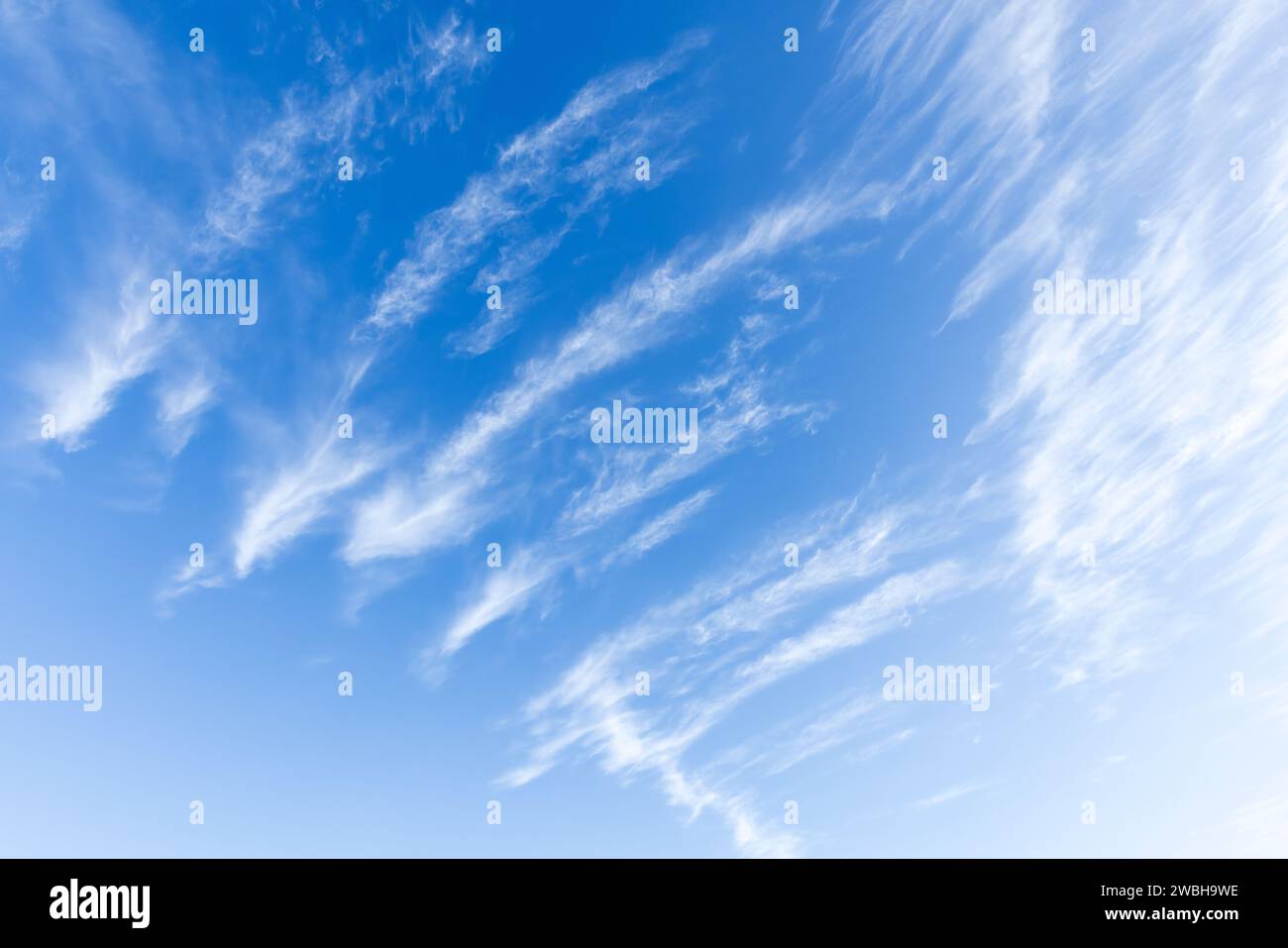 Les nuages Cirrus sont dans le ciel bleu, texture de photo de fond naturelle prise sur une journée Banque D'Images