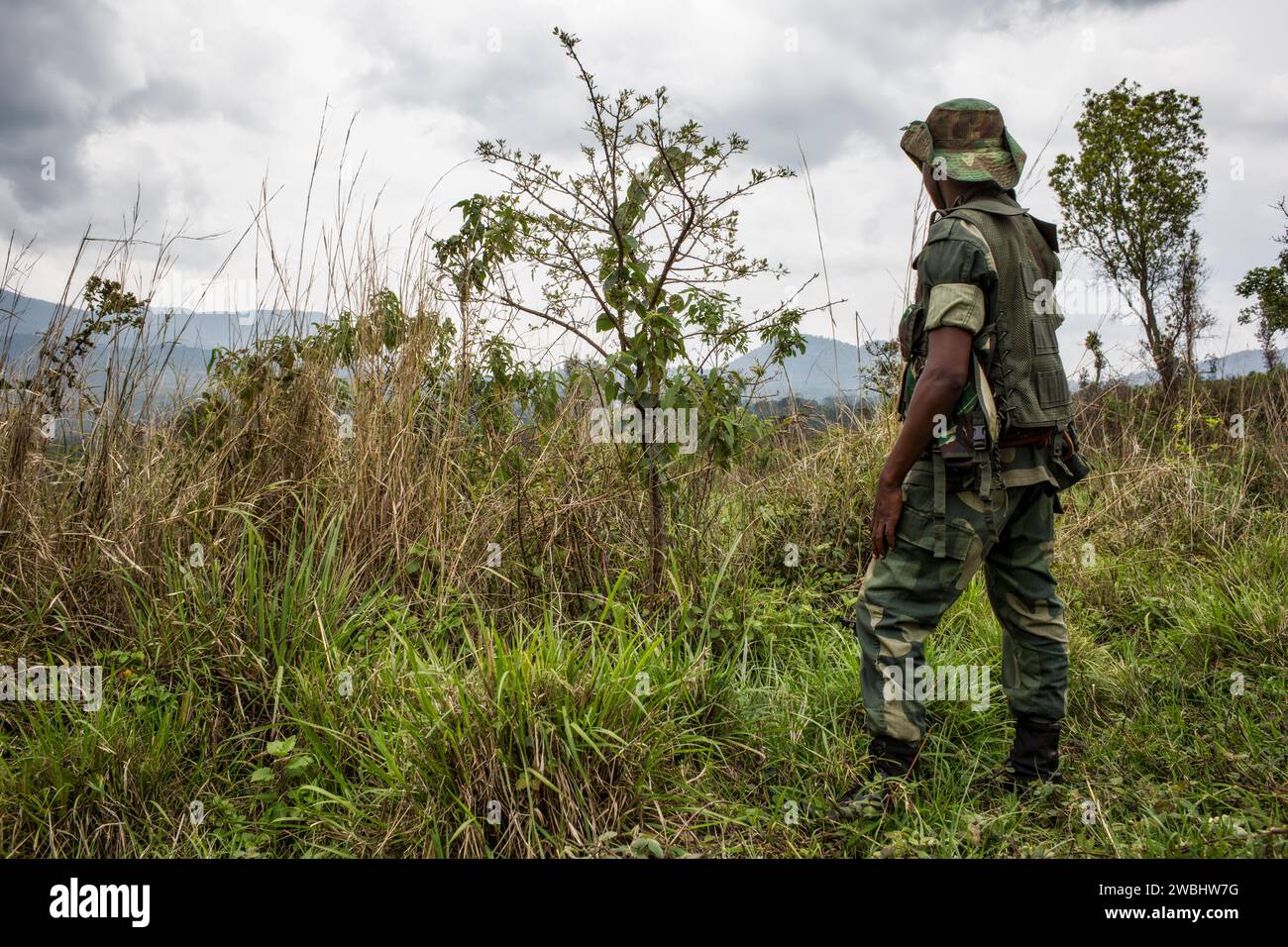 Soldats gouvernementaux près de Goma, Nord Kivu, République démocratique du Congo, Afrique Banque D'Images