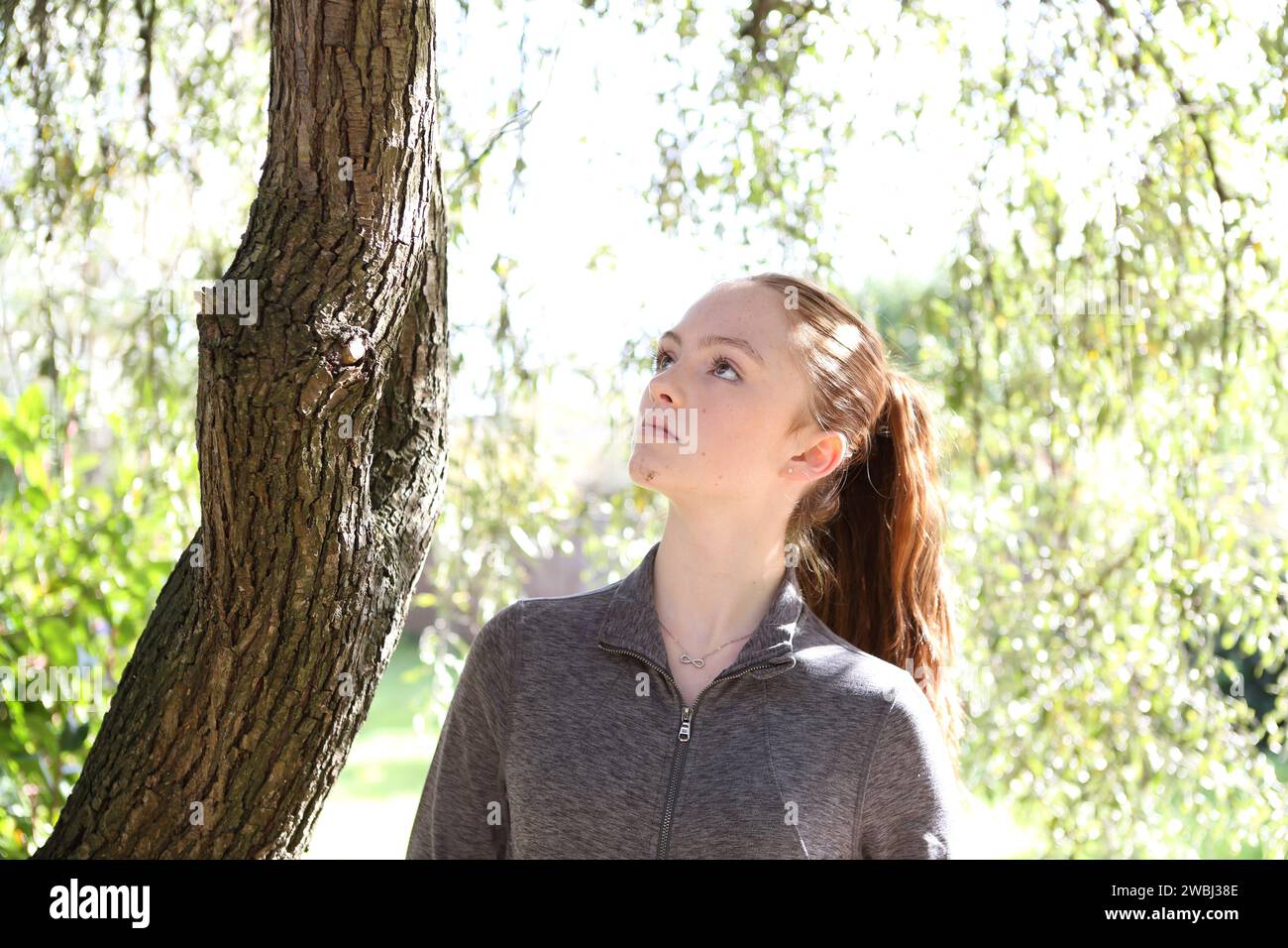Adolescente regardant vers le haut portant le dessus gris sous les feuilles vertes de l'arbre, le soleil et le tronc de l'arbre regardant calme et réfléchi Banque D'Images