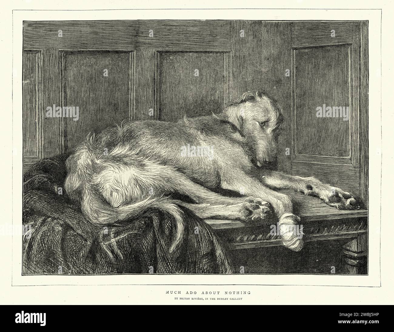Illustration vintage de chien triste avec un bandage sur sa patte blessée, art animal victorien, anglais, années 1870, après la peinture beaucoup de bruit sur rien, par Briton Riviere Banque D'Images