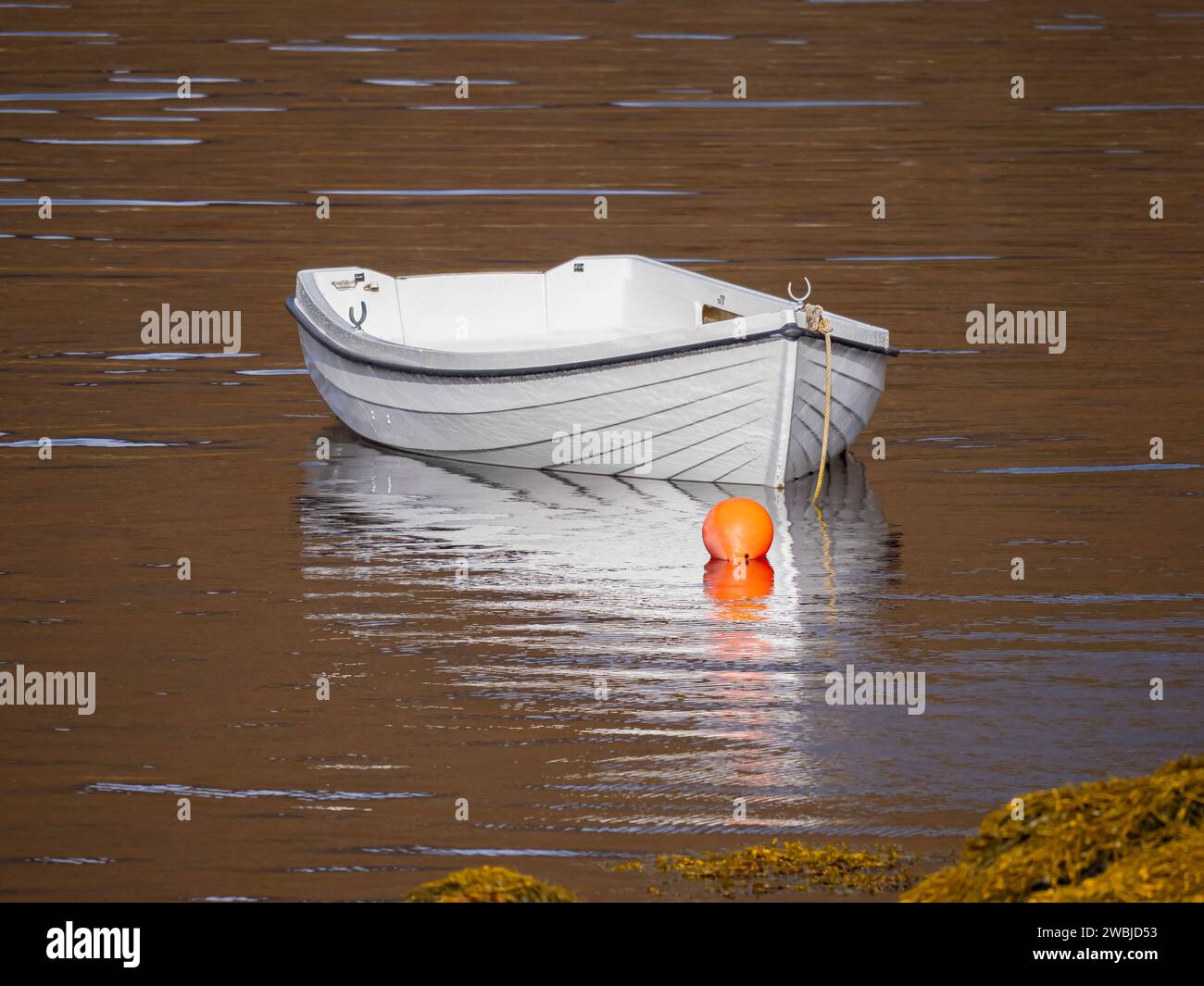 Un bateau à rames blanc solitaire attaché à une bouée avec un reflet blanc sur une eau brune encore colorée. Banque D'Images