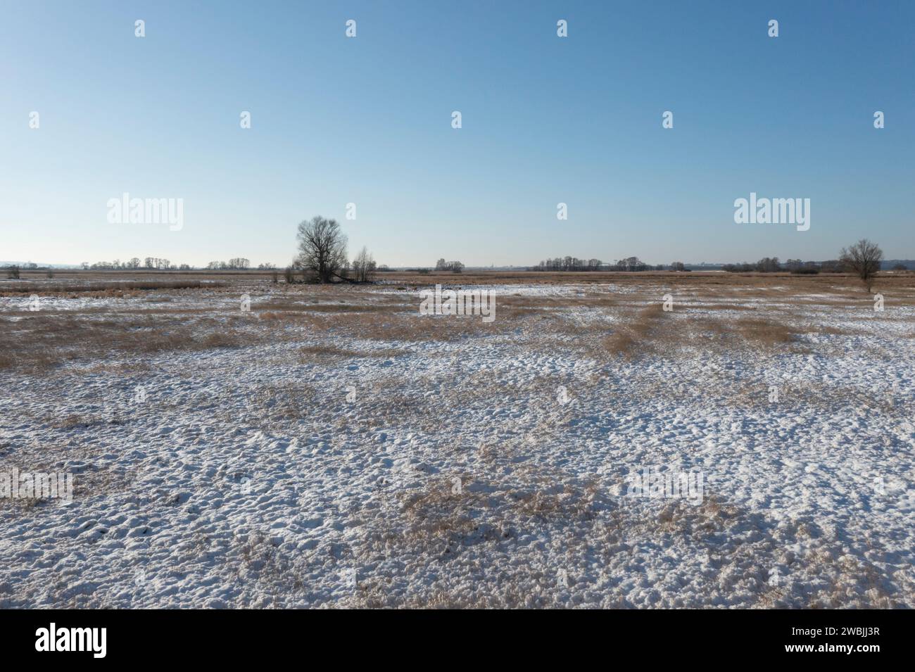 Champs, prairies et pâturages couverts de neige en hiver en Pologne. Paysage rural d'hiver. Banque D'Images