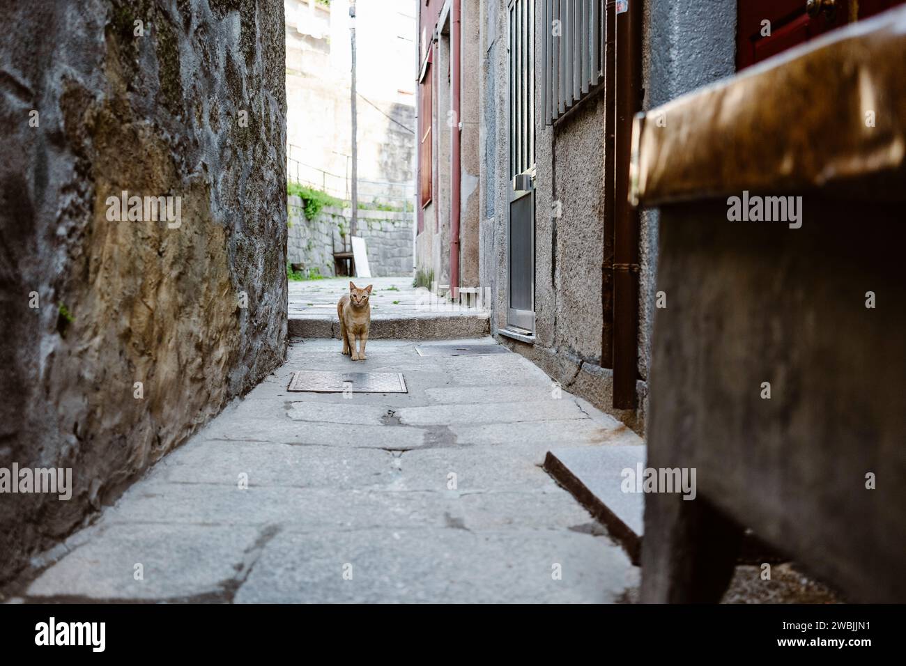 Vue réelle des rues de Porto dans les lieux non touristiques, nord du Portugal Banque D'Images