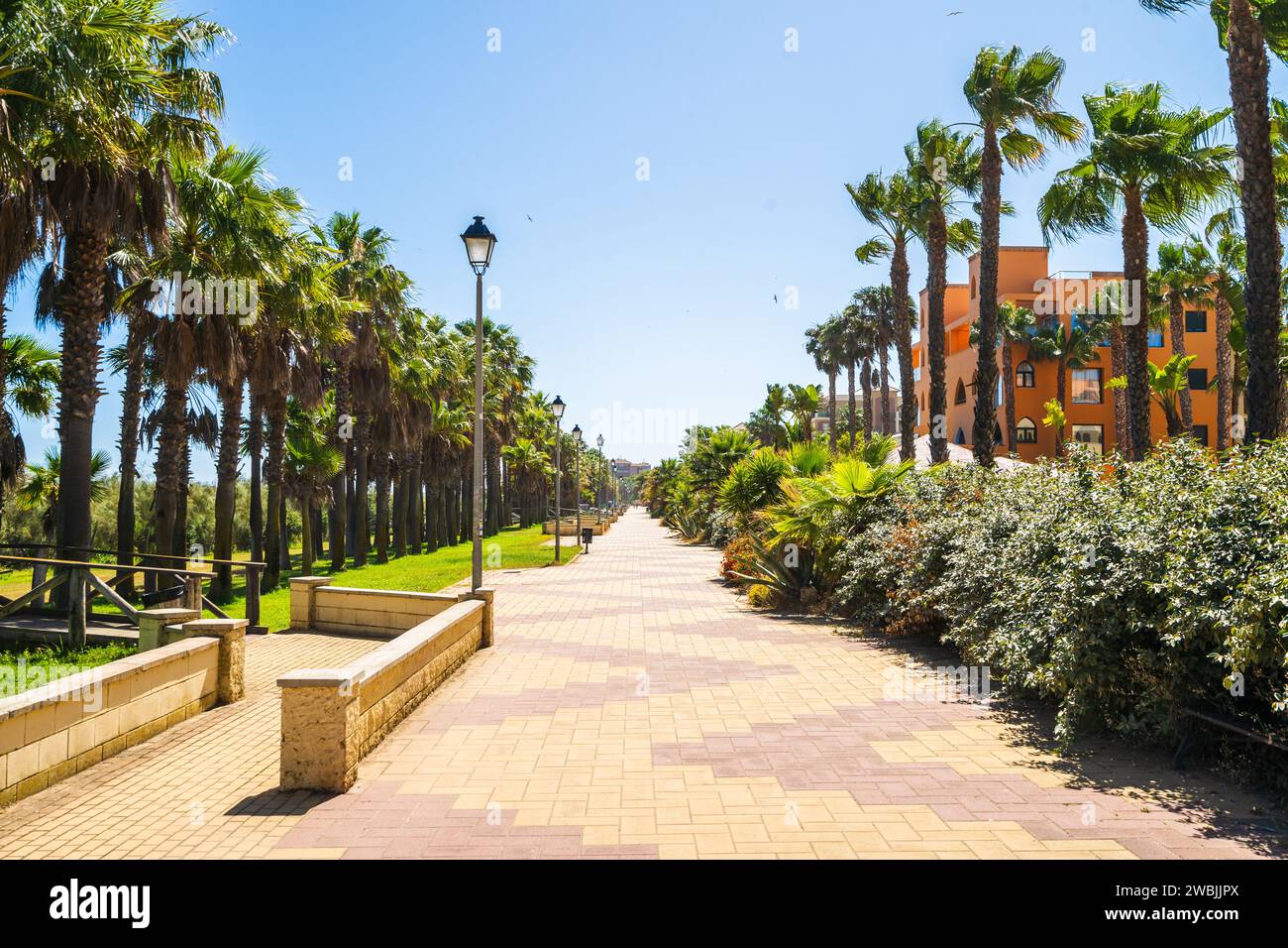 Promenade en bord de mer avec palmiers à Isla Canela, andalousie, Espagne Banque D'Images