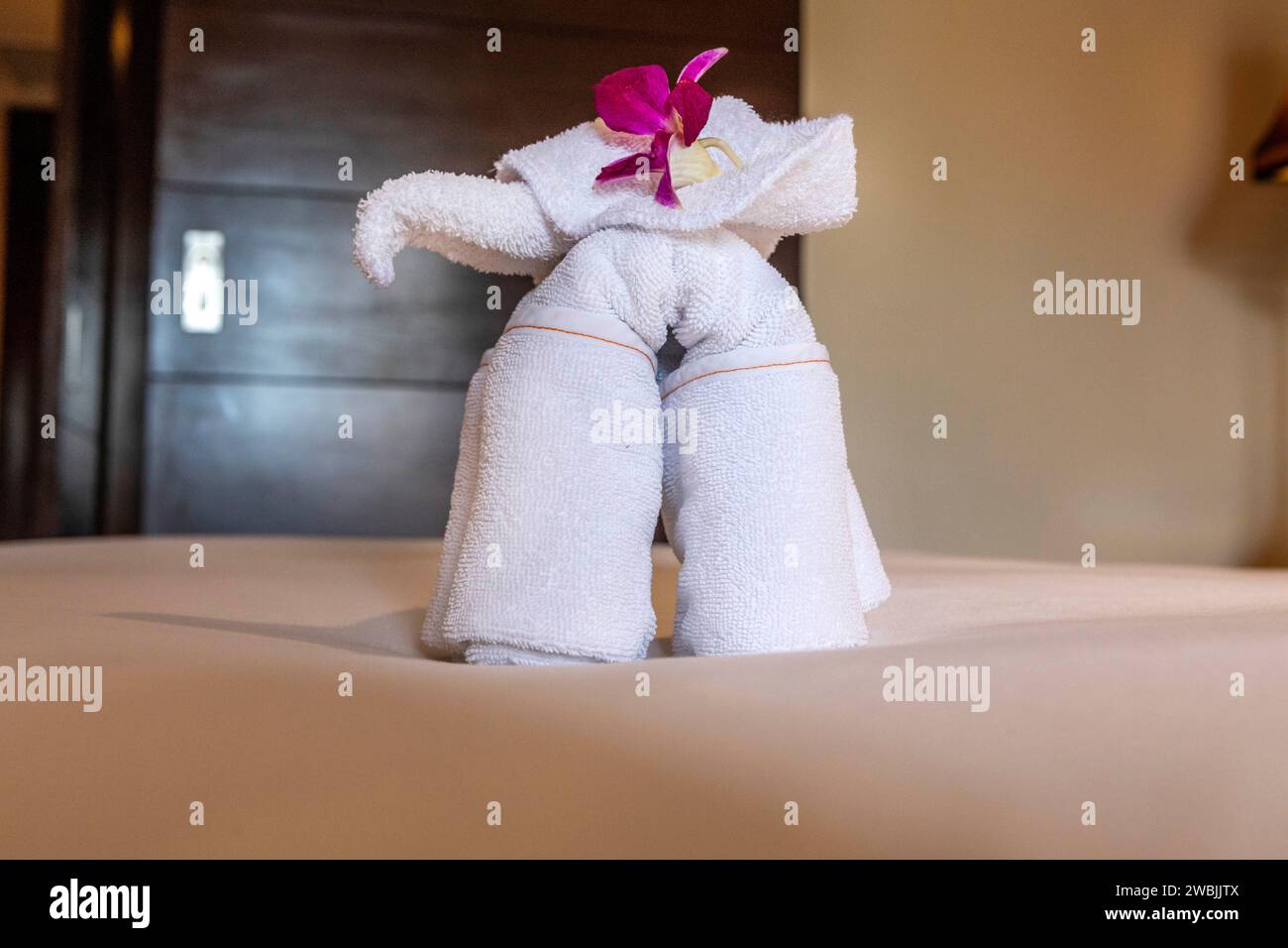 Une serviette décorative éléphant dans une chambre d'hôtel Ho Chi Minh ville. Banque D'Images