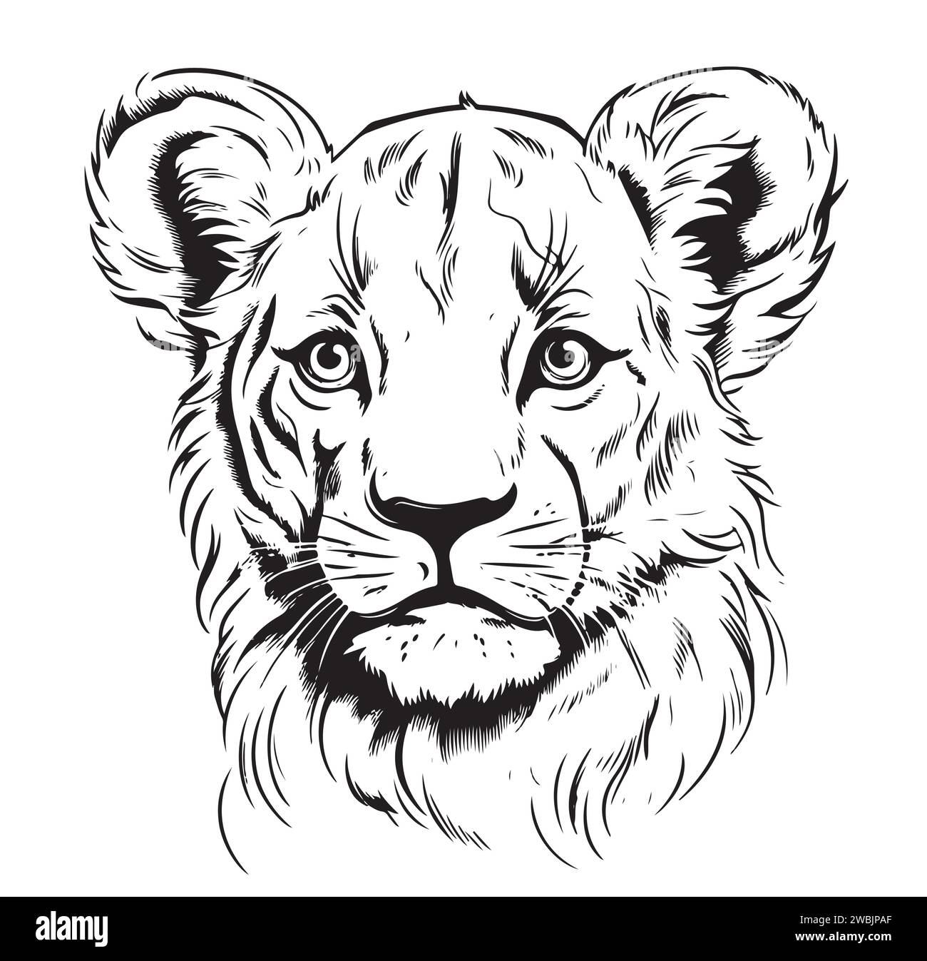 Illustration d'un dessin dessiné à la main par la tête d'un petit lion, Wild Animals Illustration de Vecteur