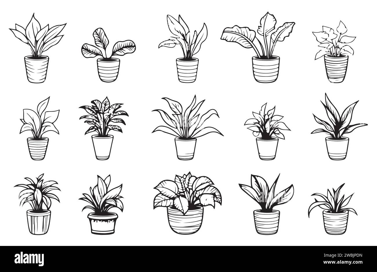 Ensemble de dessins de contour de plantes d'intérieur. Fleurs exotiques d'intérieur en pots Line art. Dracaena, ficus, cactus, plante de serpent pour les plans d'intérieur de la maison, design. Vect Illustration de Vecteur