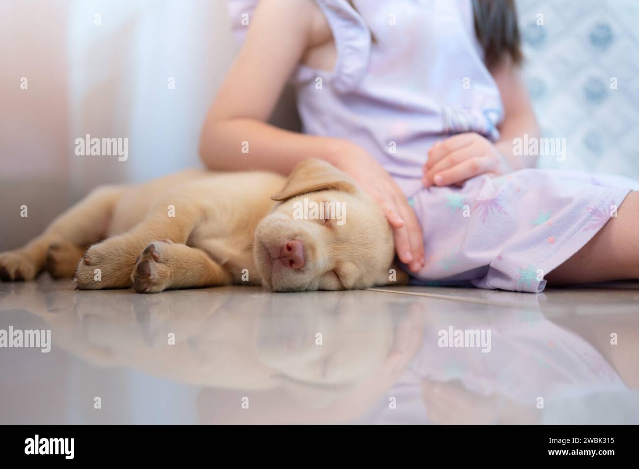 Petite fille avec chiot labrador endormi assis sur le sol de la maison Banque D'Images