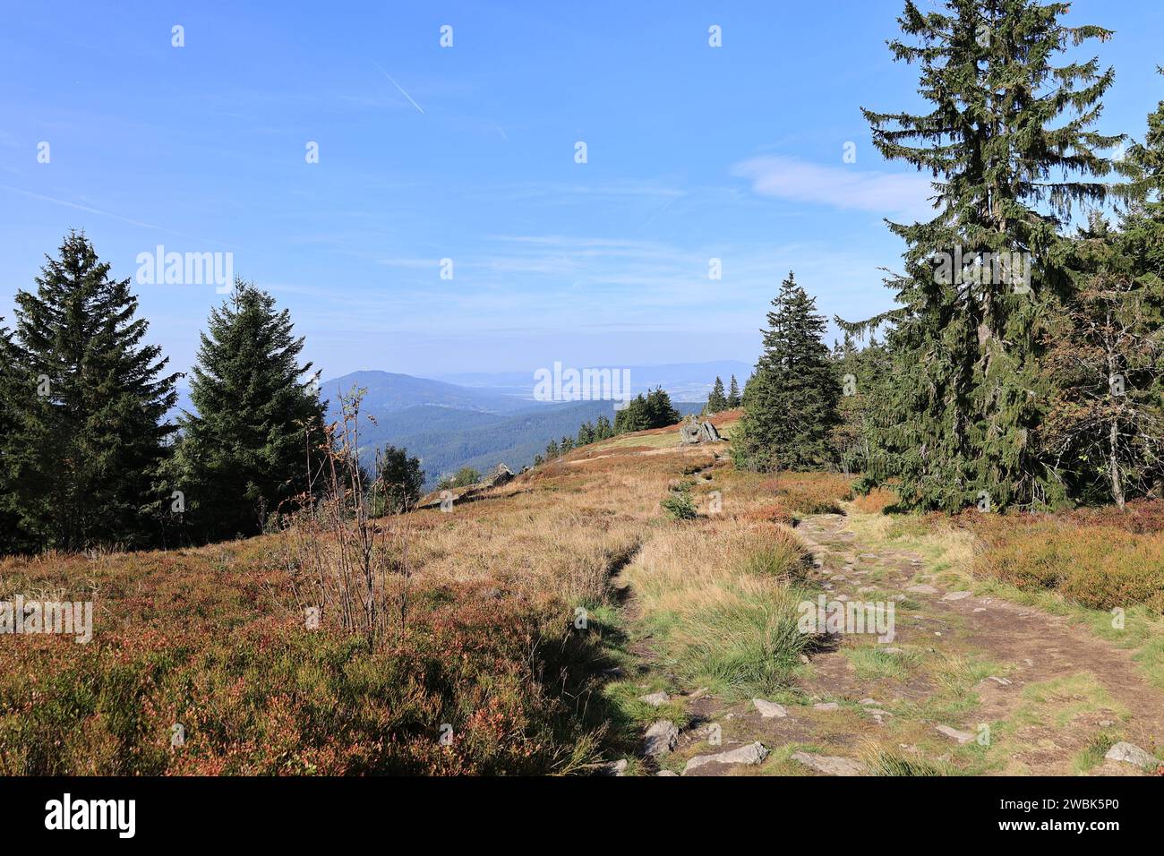 Herbst am Großen Osser im Bayerischen Wald Banque D'Images