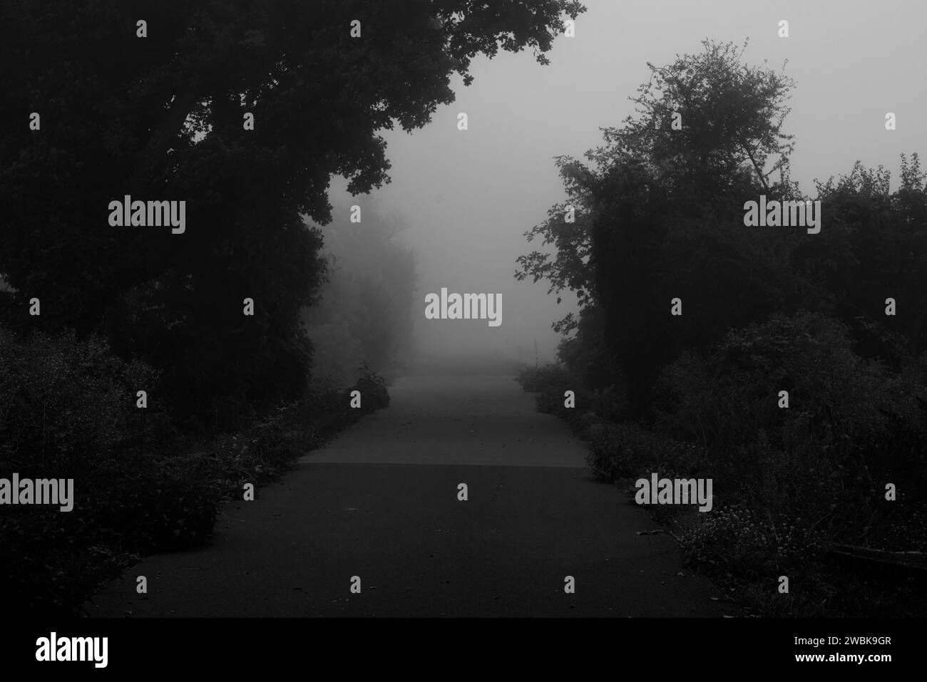 Brouillard sur une piste cyclable tôt le matin en automne, netteté sélective, netteté au premier plan, noir et blanc Banque D'Images