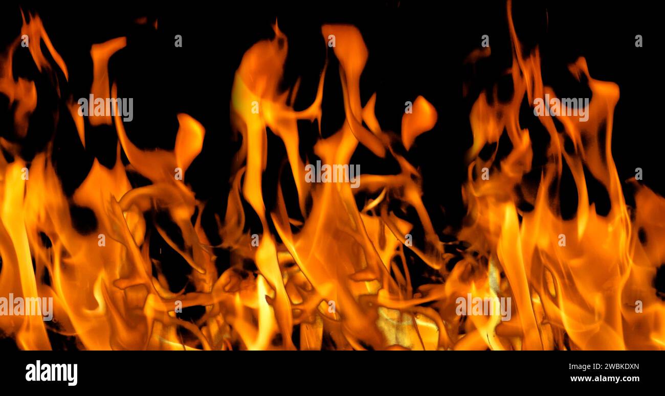 Bonefire, flammes de feu dans un feu de camp, camping au parc Masai Mara, Kenya Banque D'Images