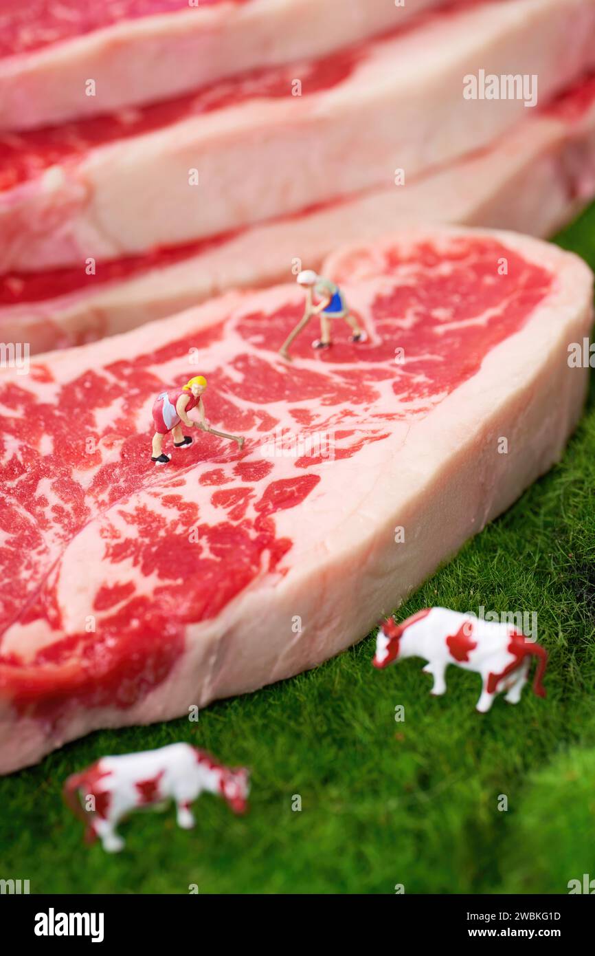 Images de viande crue, images de bœuf cru, images de porc cru, images de viande transformée dans