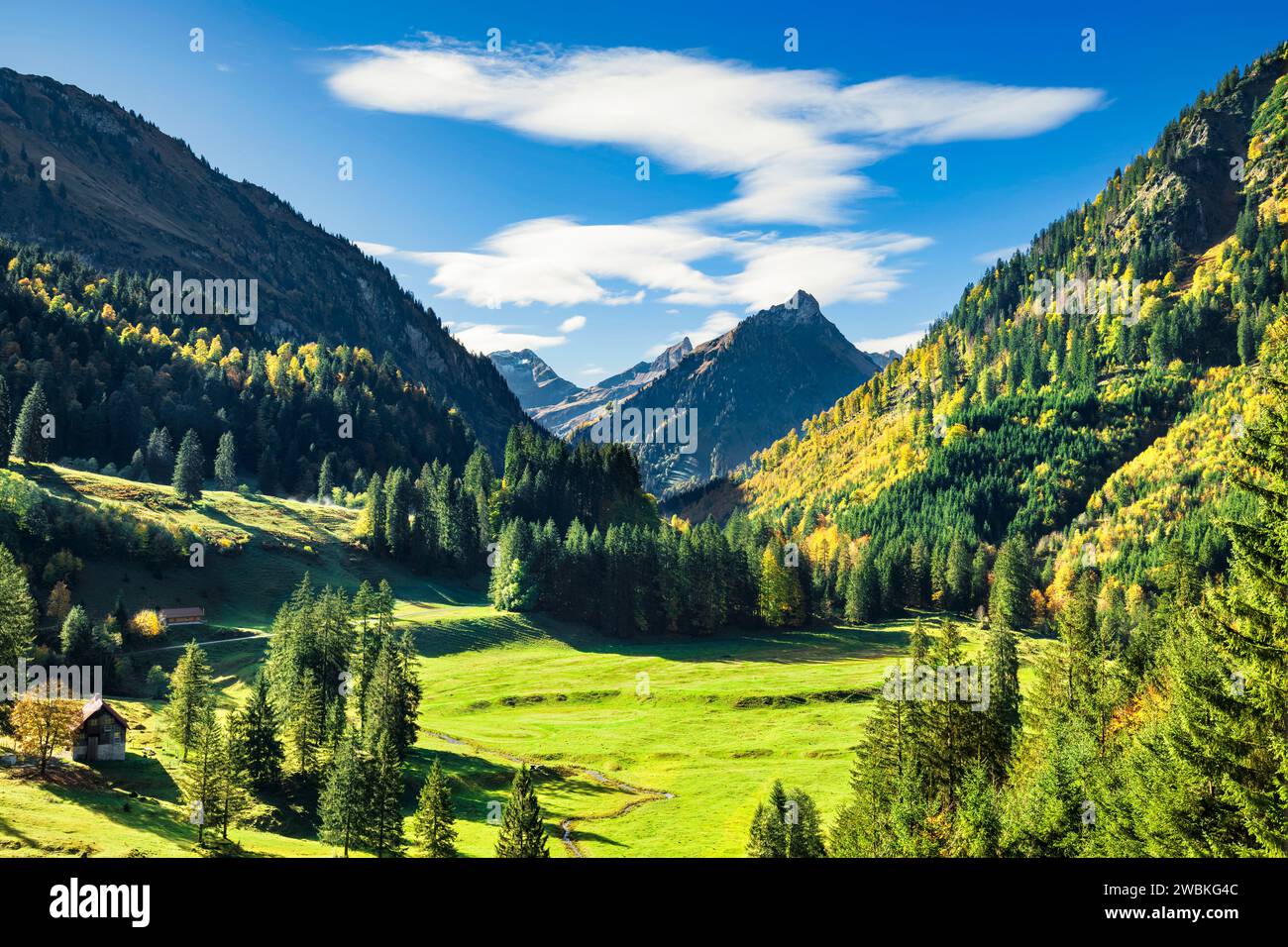 Paysage de montagne alpin en automne. Forêts et montagnes dans la vallée de Hintersteiner avec Großes Wilden, Schneck et Giebel. Alpes de Allgäu, Bavière, Allemagne, Europe Banque D'Images