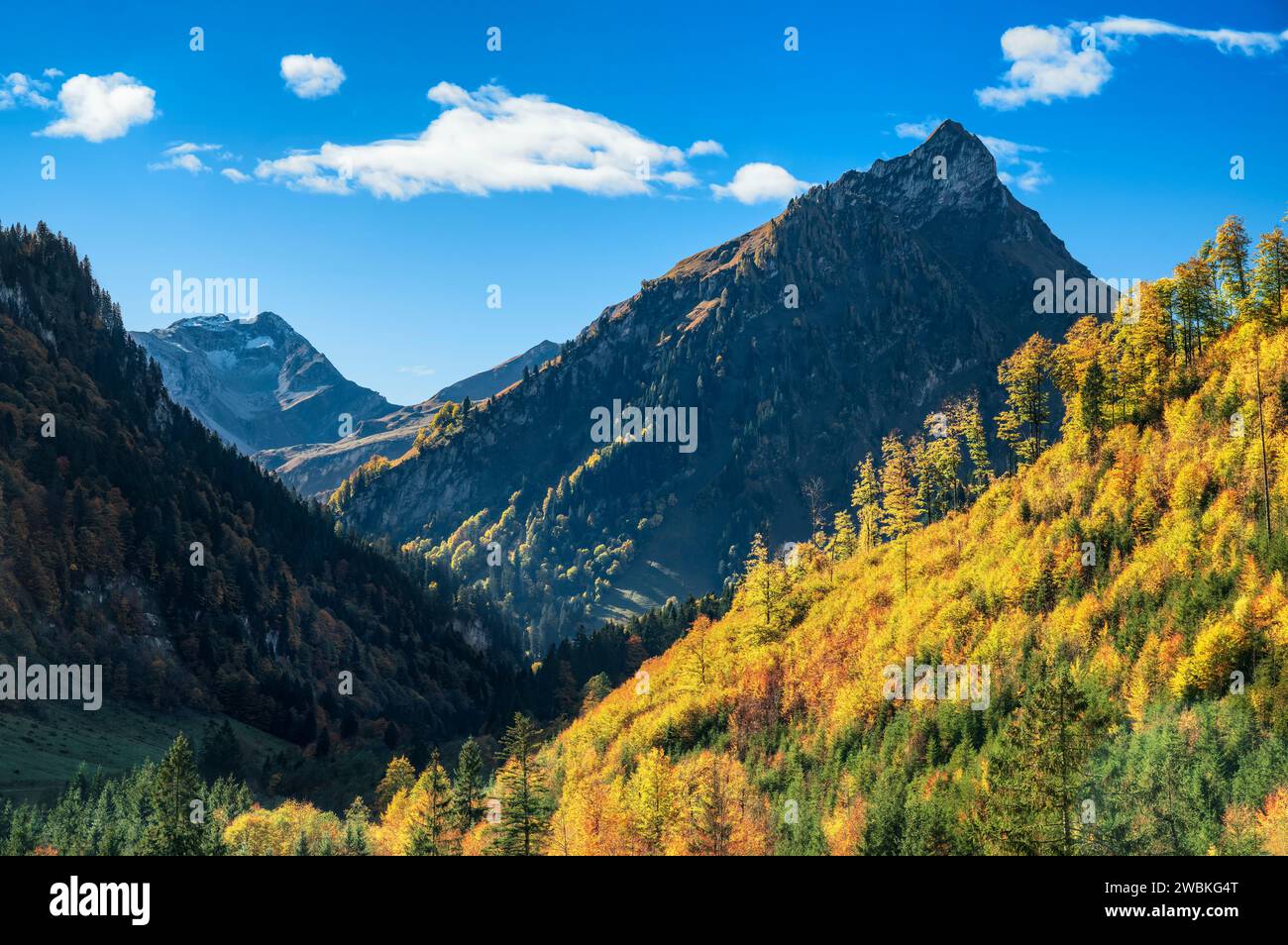 Paysage de montagne alpin en automne. Forêts colorées et montagnes dans la vallée de Hintersteiner avec Großes Wilden et Giebel. Alpes de Allgäu, Bavière, Allemagne, Europe Banque D'Images