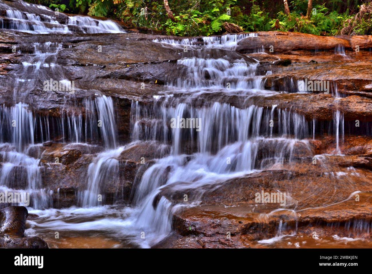 Aqua Serenity : où les Blue Mountains embrassent l'art des cascades Banque D'Images