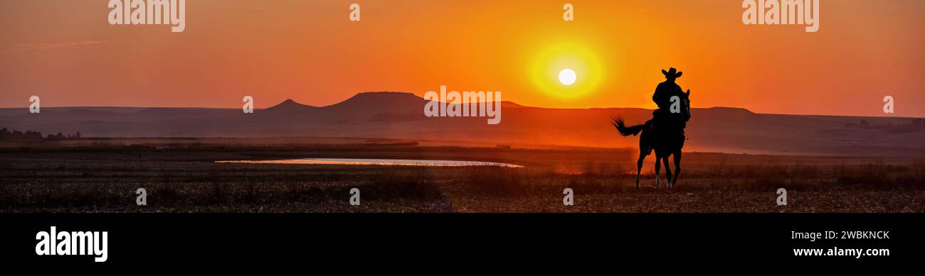 silhouette cow-boy dans le coucher du soleil chevauchant près d'un trou d'eau dans la prairie, paysage occidental américain vista Banque D'Images