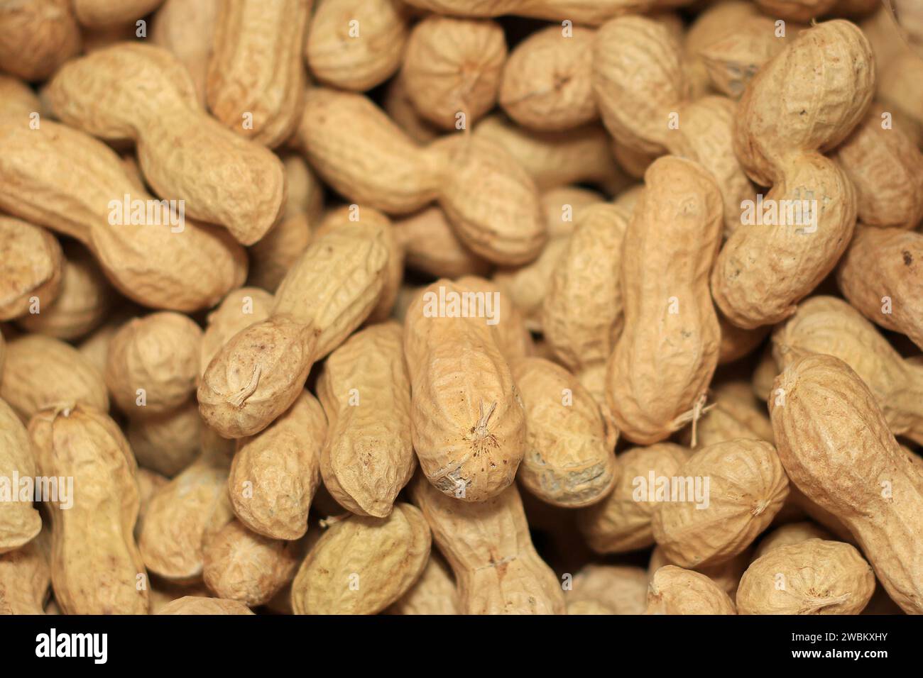 Beaucoup de cacahuètes crues en coquille. Banque D'Images