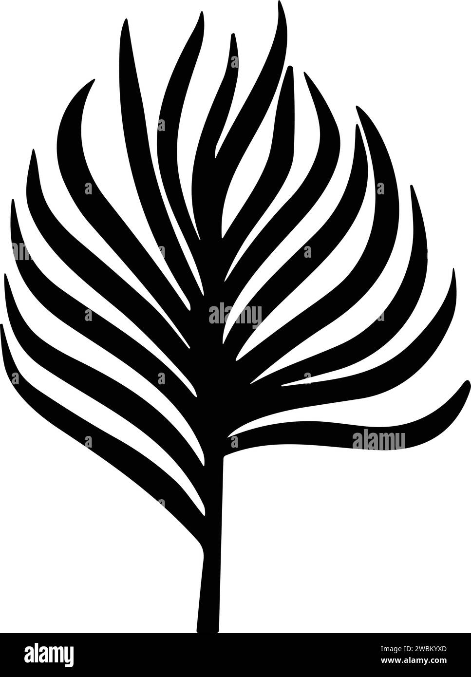 Vecteur de feuilles tropicales. silhouette de feuilles de palmier. Feuille d'arbre pour élément décoratif pour gabarit Illustration de Vecteur Vecteur de feuilles tropicales. silhouette de feuilles de palmier. Feuille d'arbre pour élément décoratif pour gabarit Illustration de Vecteur