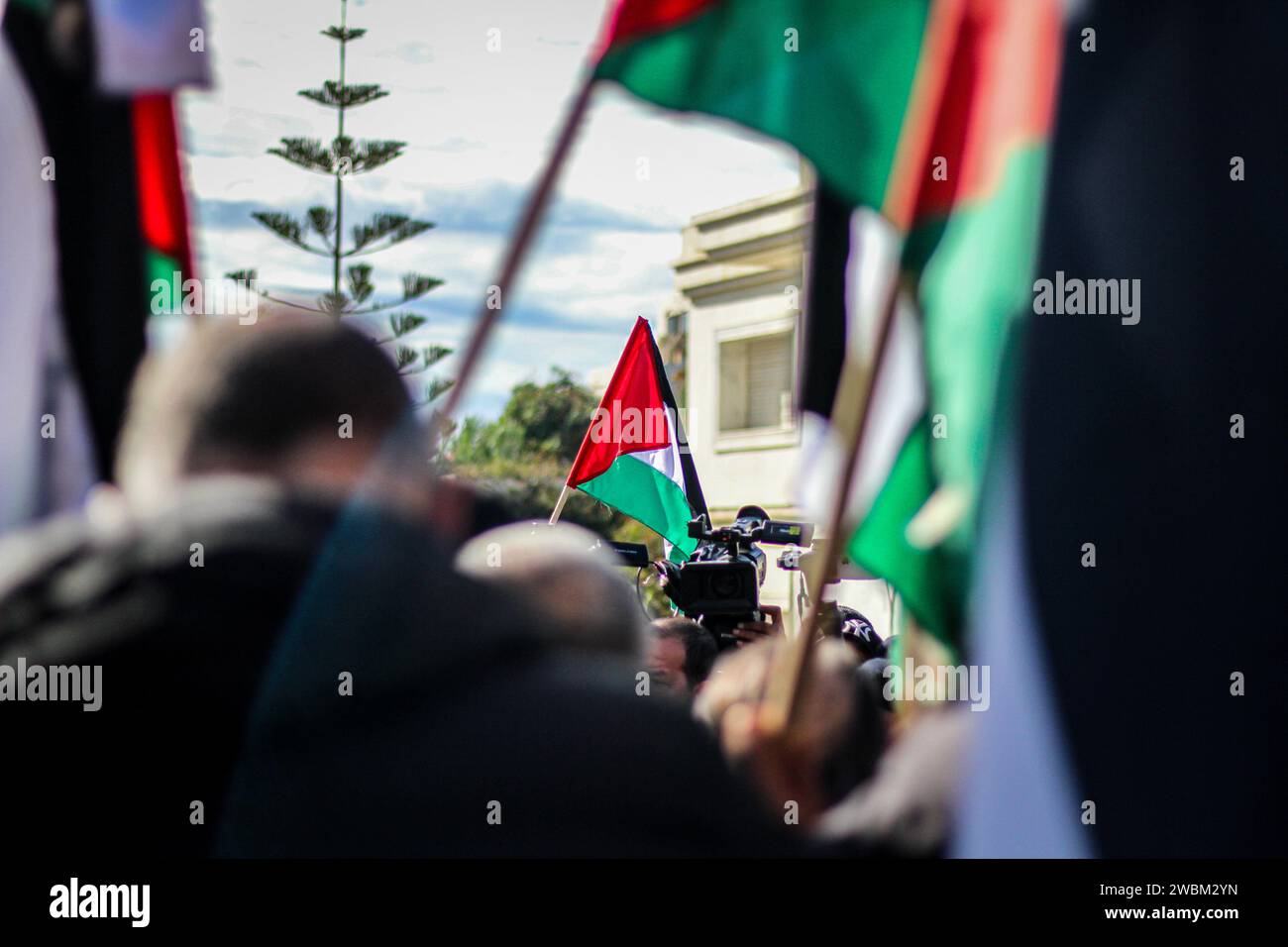11 janvier 2024 : Tunis, Tunisie. 11 janvier 2024. Des manifestants pro-palestiniens brandissent des drapeaux et des banderoles palestiniens devant l'ambassade d'Afrique du Sud à Tunis. La manifestation a coïncidé avec le dépôt par l'Afrique du Sud d'un procès pour génocide contre Israël devant la Cour internationale de Justice à la Haye. L'Afrique du Sud accuse Israël d'avoir perpétré un génocide à Gaza depuis le 7 octobre (image de crédit : © Hasan Mrad/IMAGESLIVE via ZUMA Press Wire) À USAGE ÉDITORIAL SEULEMENT! Non destiné à UN USAGE commercial ! Banque D'Images