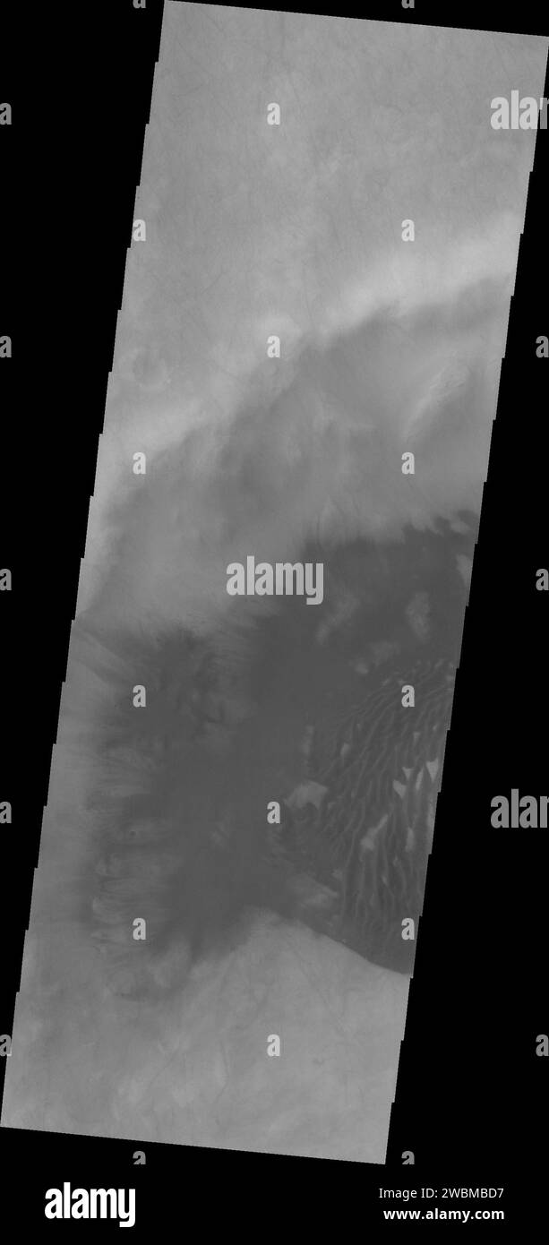C'est maintenant le haut été au pôle Sud de Mars ; les dunes de sable dans les cratères de haute latitude sont toutes exemptes de gel. Cette image capturée par le vaisseau spatial Mars Odyssey de la NASA en 2001 est d'un cratère anonyme dans Sisyphi Planum a des dunes et se déplaçant hors du cratère. Banque D'Images