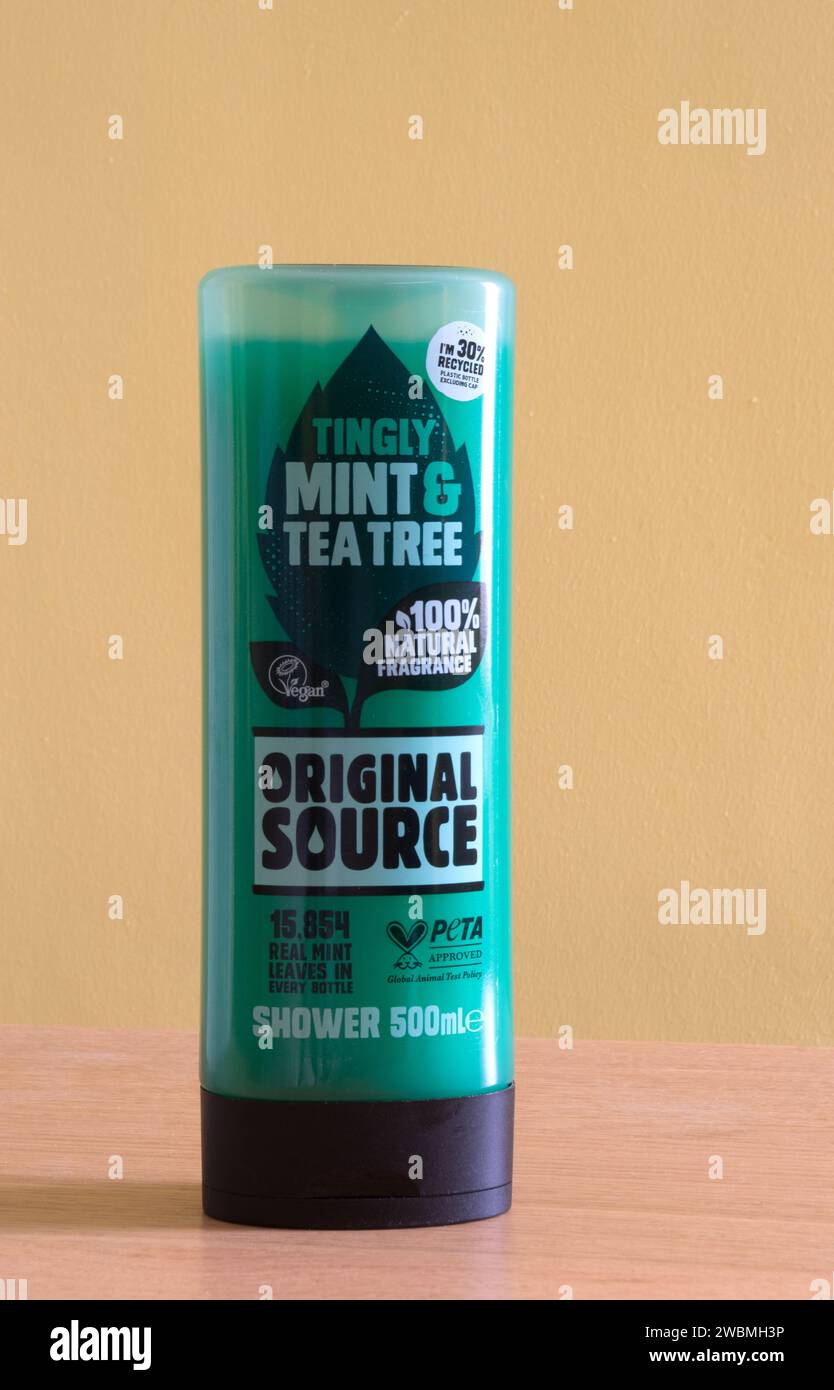 Bouteille de gel douche Original Source Tingly Mint & Tea Tree de 500 ml Banque D'Images