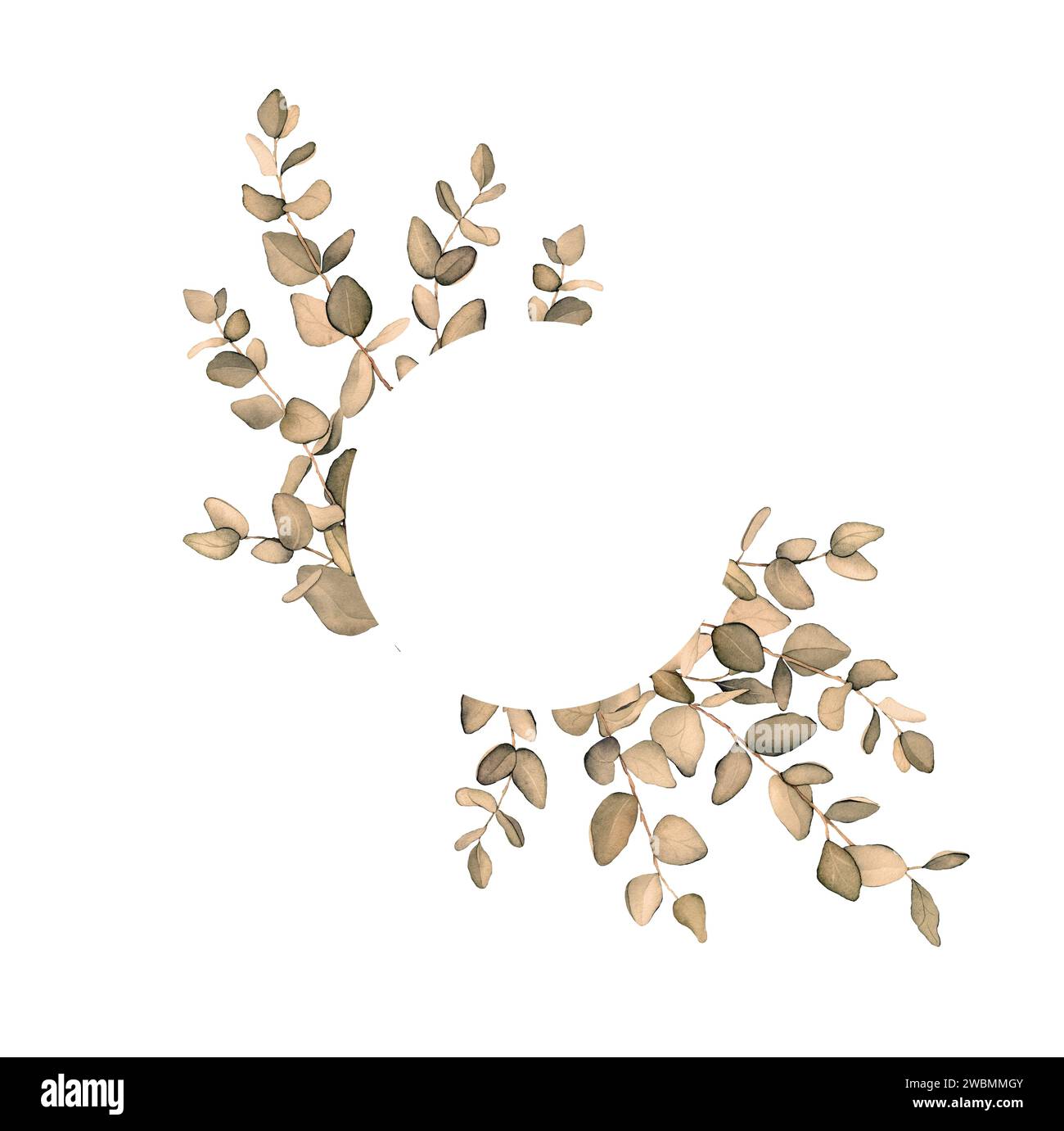 Cadre cercle aquarelle avec branches de feuilles d'eucalyptus marron et beige. Illustration Eucalyptus en bouquet pour mariage. Elément décoratif pour Banque D'Images