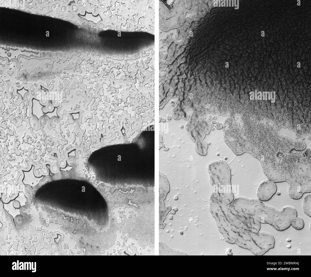 Mars reconnaissance Orbiter de la NASA a pris ces images d'une zone près du pôle sud de Mars où les fosses coalescentes ou allongées sont interprétées comme des signes d'un dépôt sous-jacent de dioxyde de carbone gelé, ou « glace sèche ». Banque D'Images