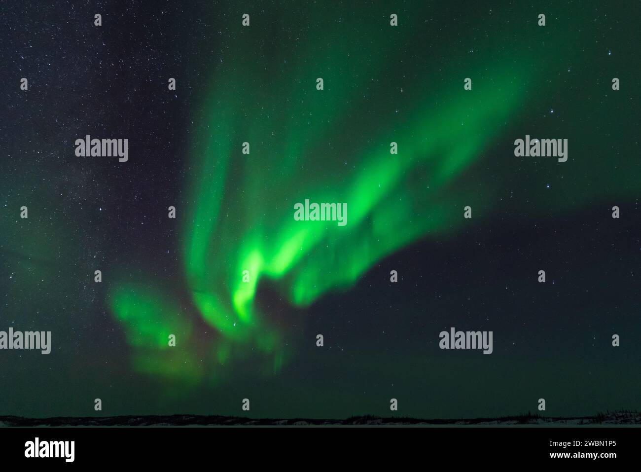 Aurora Borealis, aurores boréales, à Yellowknife, Territoires du Nord-Ouest, Canada Banque D'Images