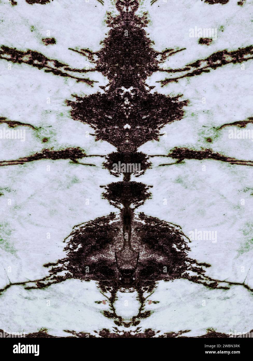 motif naturel avec insecte fossile abstrait Banque D'Images