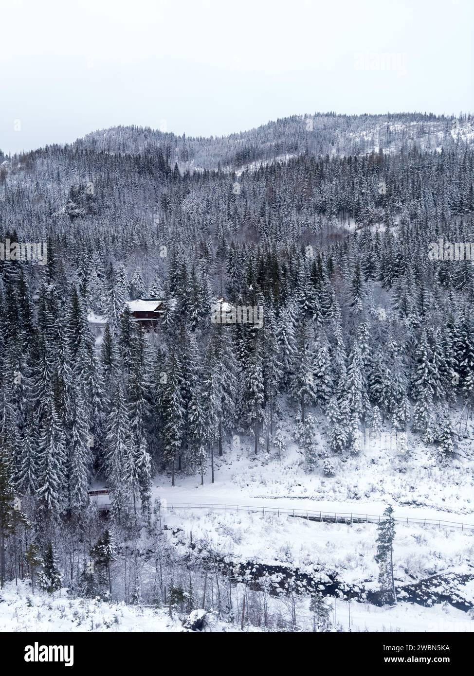 Vue sur la montagne hivernale avec forêt enneigée. Gris brumeux temps nuageux sans soleil. Route enneigée. Banque D'Images