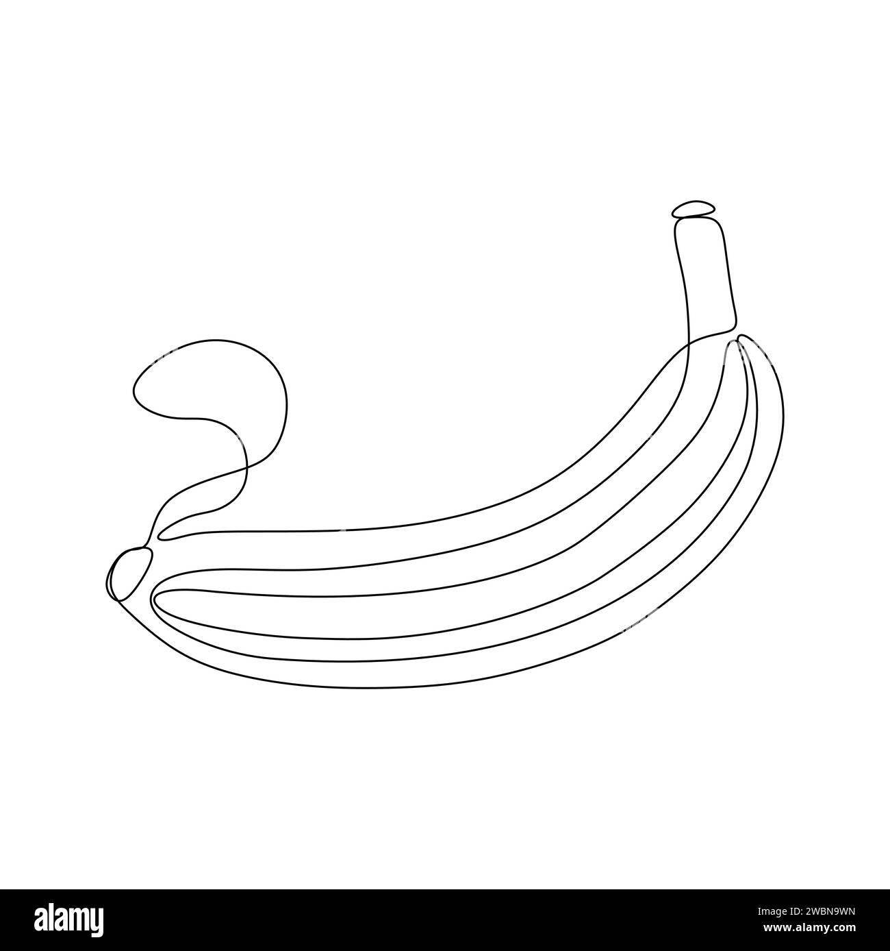 Dessin continu d'une ligne de banane. Illustration vectorielle isolée sur fond blanc. Illustration de Vecteur