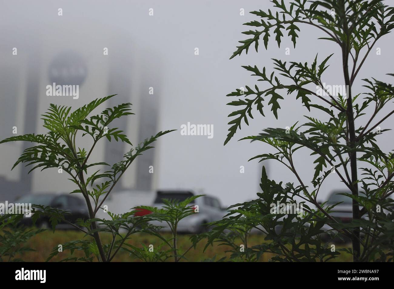 CAP CANAVERAL, Floride. – Au Kennedy Space Center de la NASA en Floride, le bâtiment d'assemblage de véhicules de 525 pieds de haut est obscurci dans le brouillard. Le bâtiment massif, autrefois utilisé pour traiter les fusées Apollo Saturn V et les navettes spatiales pour le lancement, subit une transformation pour le préparer à supporter la fusée de prochaine génération de la NASA, le Space Launch System, ou SLS, ainsi que la myriade de fusées commerciales en cours de développement. Banque D'Images