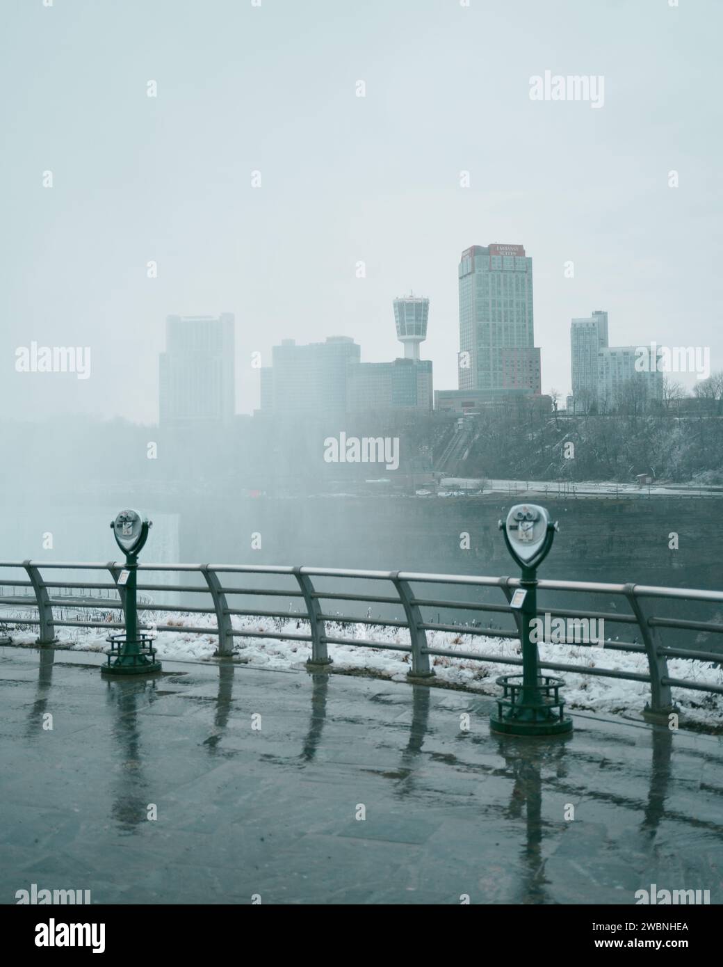 Vue depuis Terrapin point par une journée nuageuse d'hiver, Niagara Falls, New York Banque D'Images