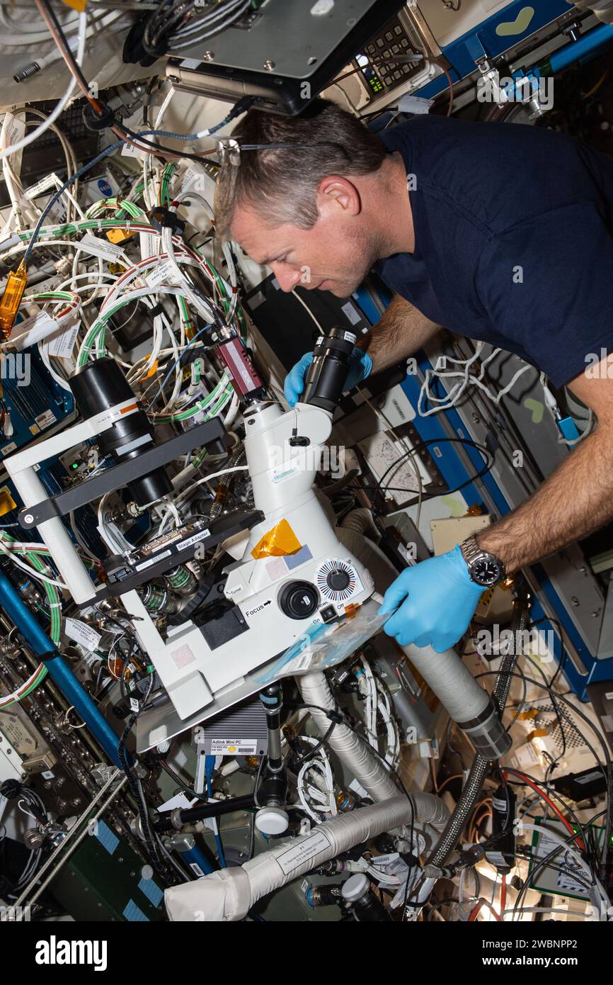 Iss070e026216 (17 novembre 2023) --- Andreas Mogensen, astronaute de l'ESA (Agence spatiale européenne) et commandant de l'expédition 70, utilise un microscope à l'intérieur du module laboratoire Destiny de la Station spatiale internationale. Il captait des images d'échantillons de cellules cérébrales pour l'étude de biologie spatiale du vieillissement cérébral qui explore les processus dégénératifs des cellules cérébrales. Les résultats peuvent fournir des informations sur les symptômes du vieillissement accéléré observés dans l'espace et les maladies neurodégénératives vécues sur Terre. Banque D'Images