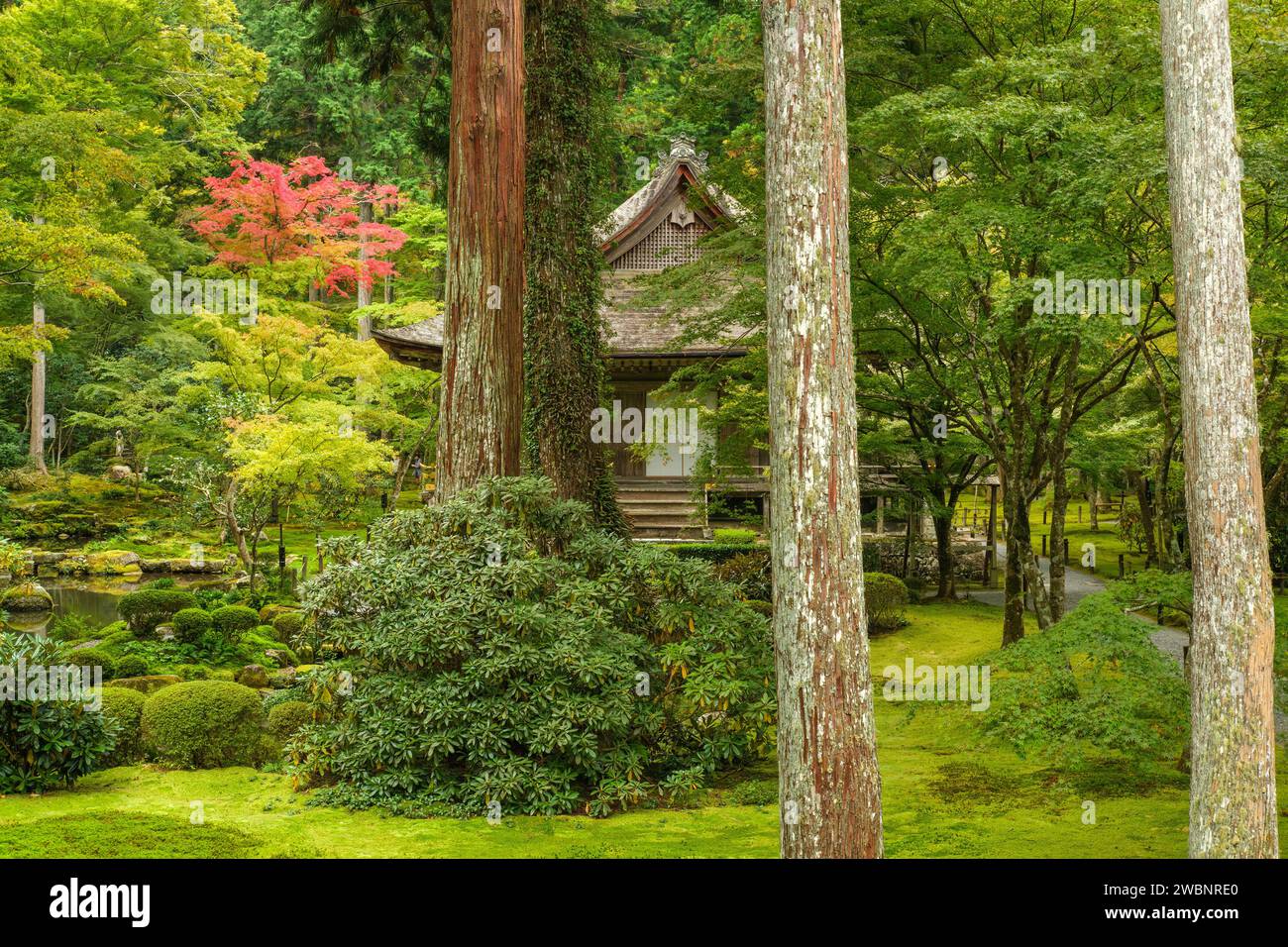 Les couleurs d'automne commencent à apparaître au temple San Zen-in à Ohara, au Japon. Banque D'Images
