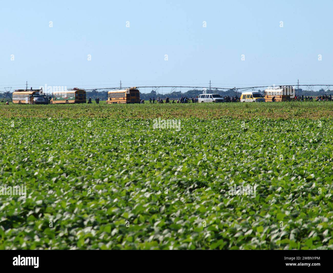 Miami, Floride, États-Unis - 31 décembre 2023 : travailleurs dans les terres agricoles de la périphérie de Miami. De nombreux immigrants sont présents. Banque D'Images