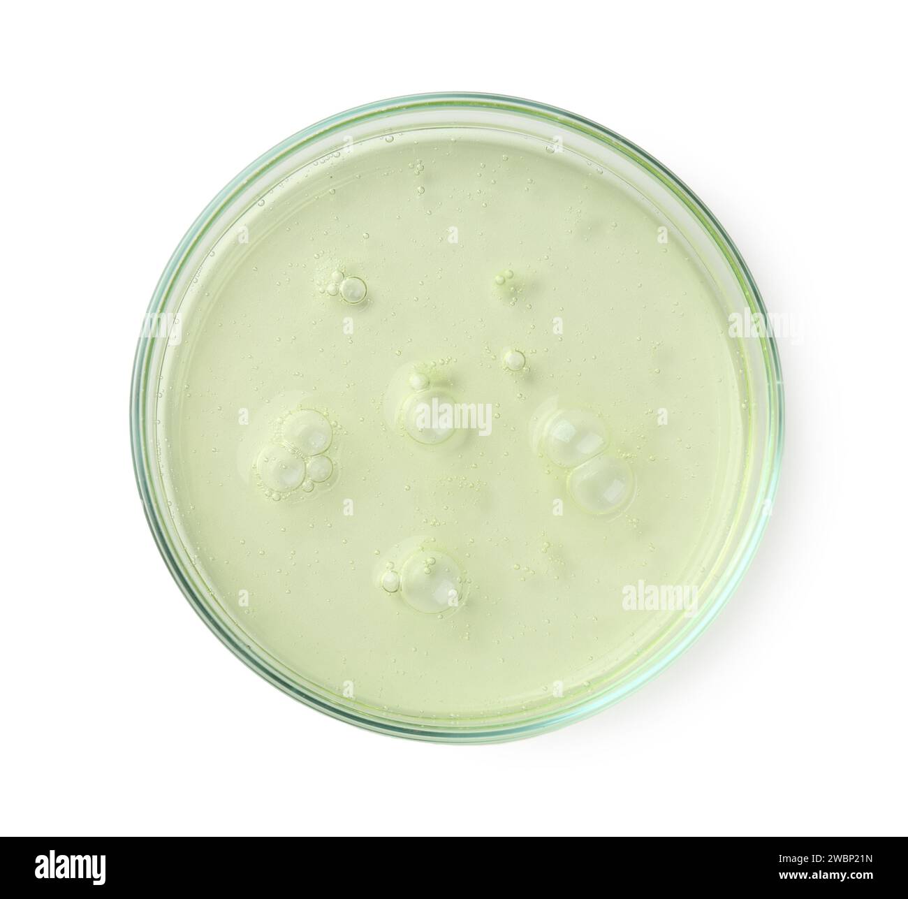 Boîte de Pétri avec échantillon liquide sur fond blanc, vue de dessus Banque D'Images