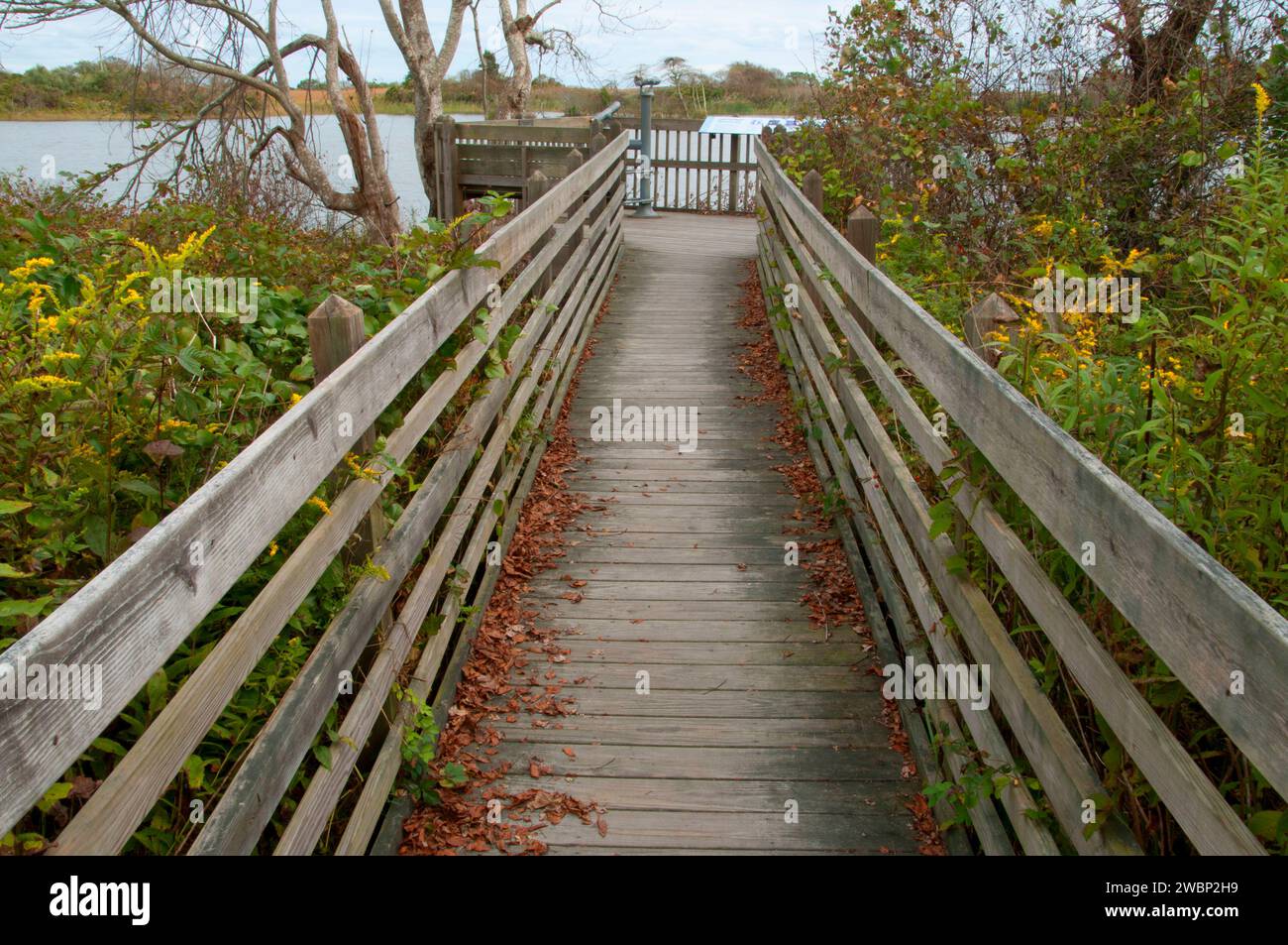 Sur la plate-forme d'observation, Otter Point Trustom Pond National Wildlife Refuge, Rhode Island Banque D'Images